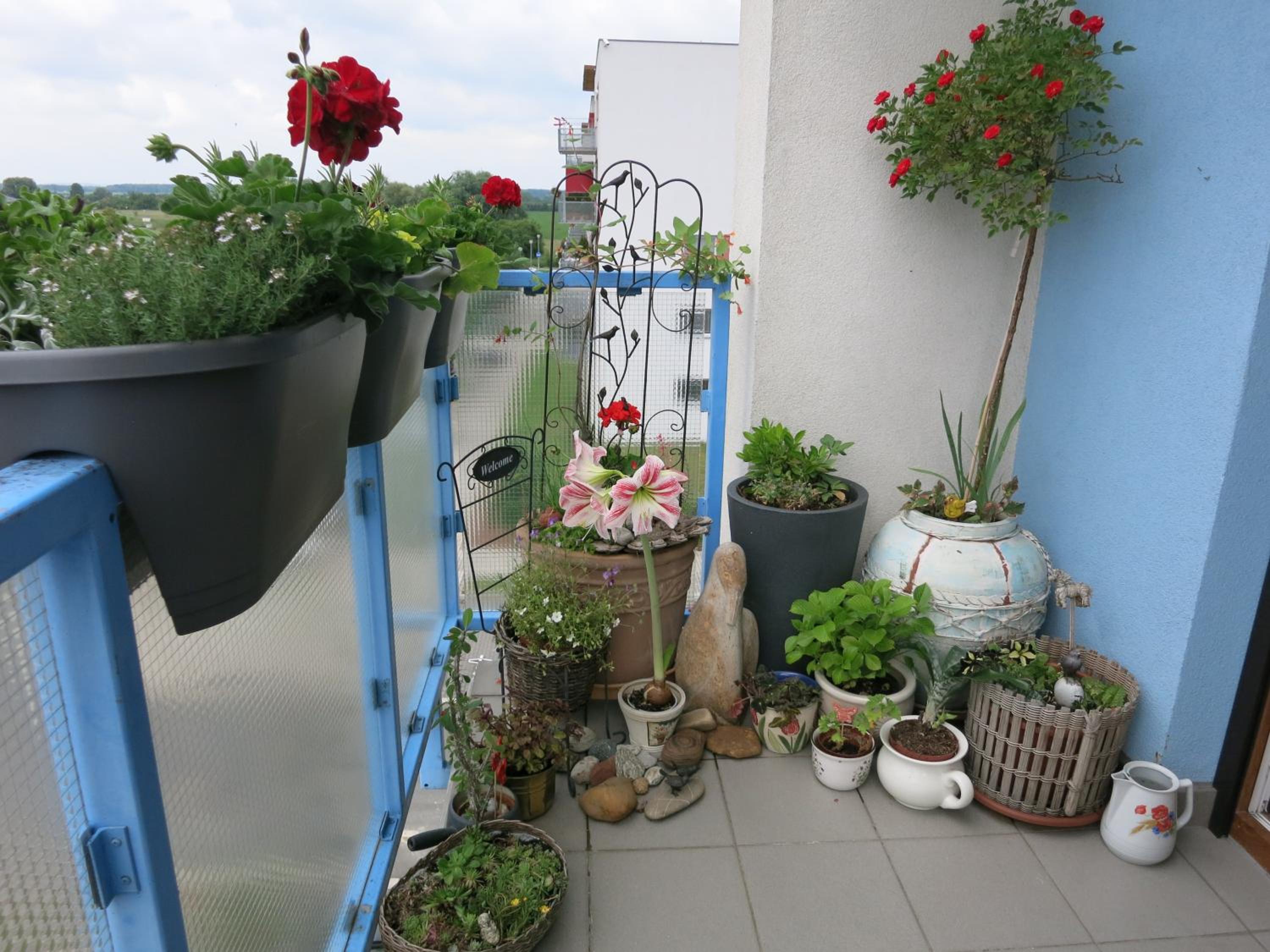 Homestay Poděbrady view 4