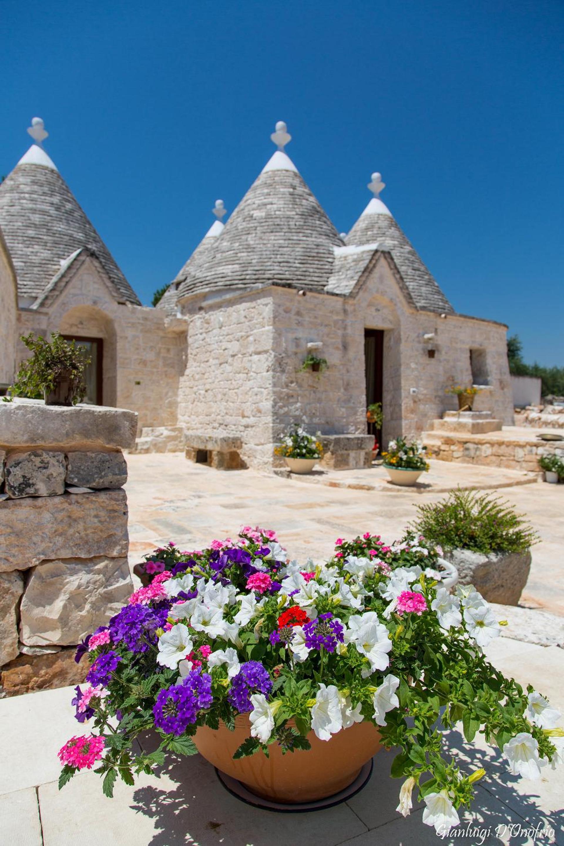 Hotel Annalocos - Image 1