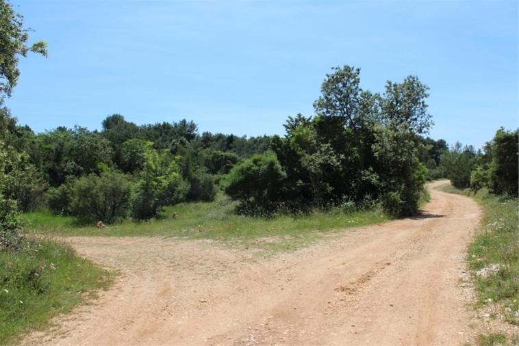 Photo 43