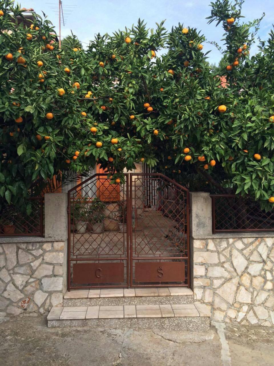 Photo 44