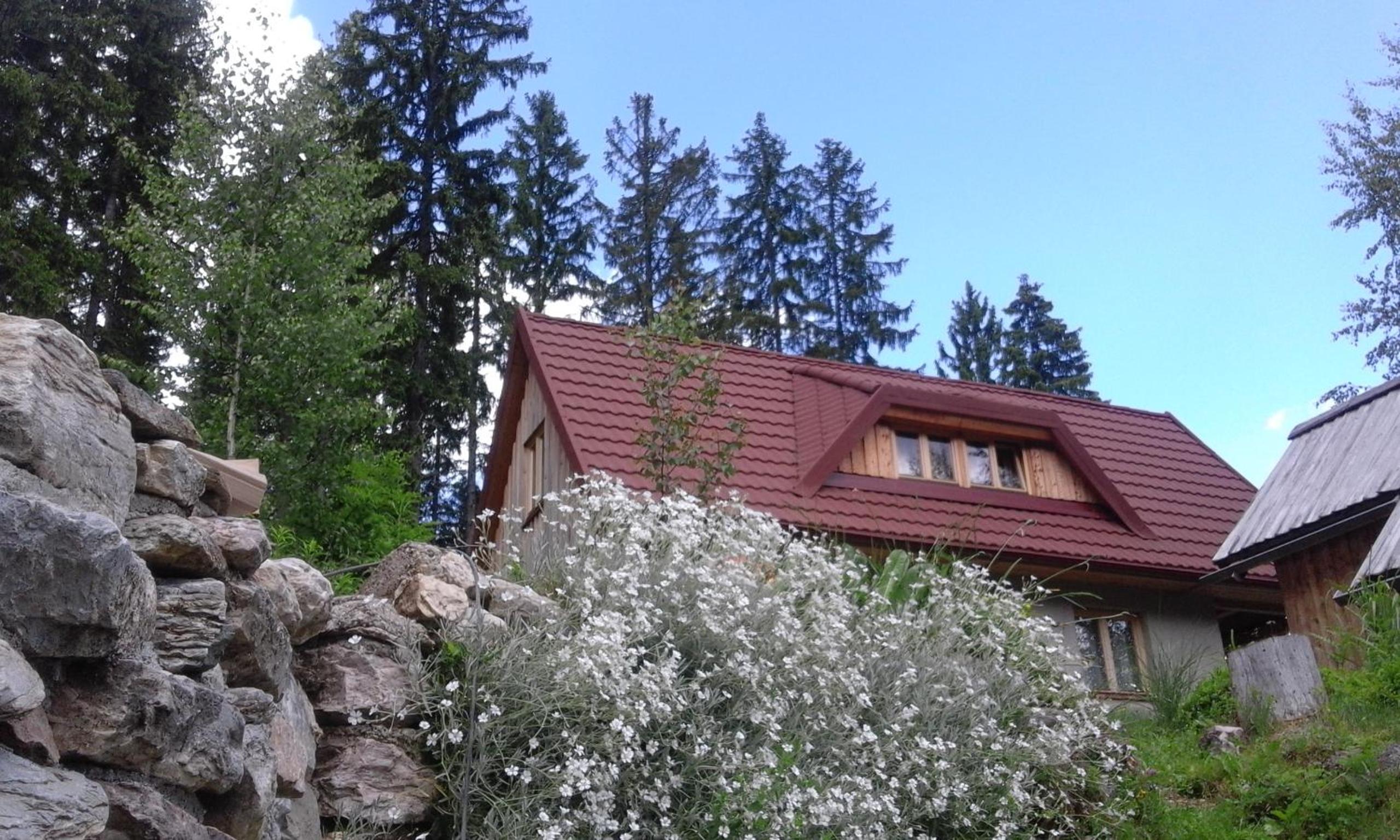 Photo 46