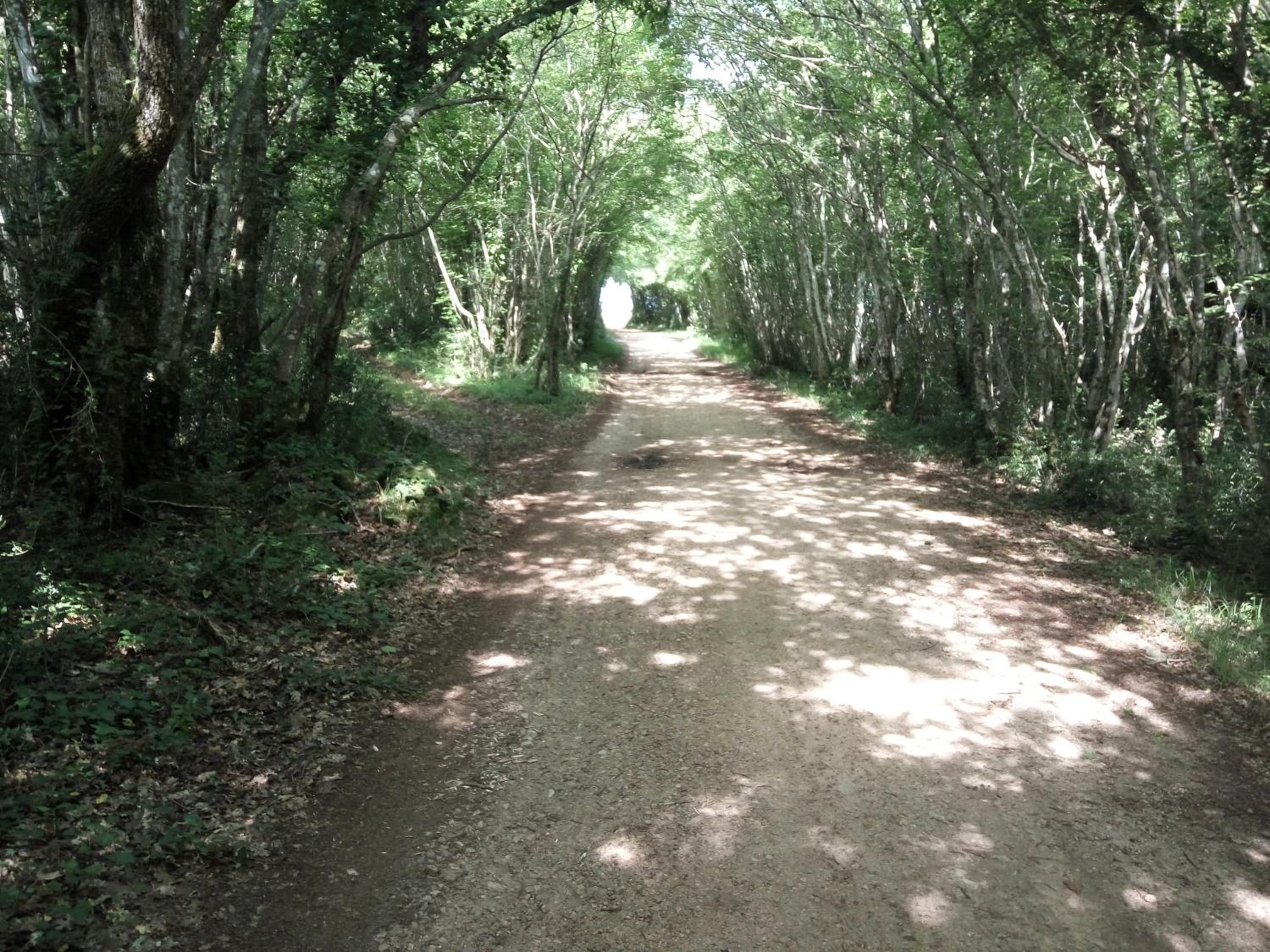Photo 29