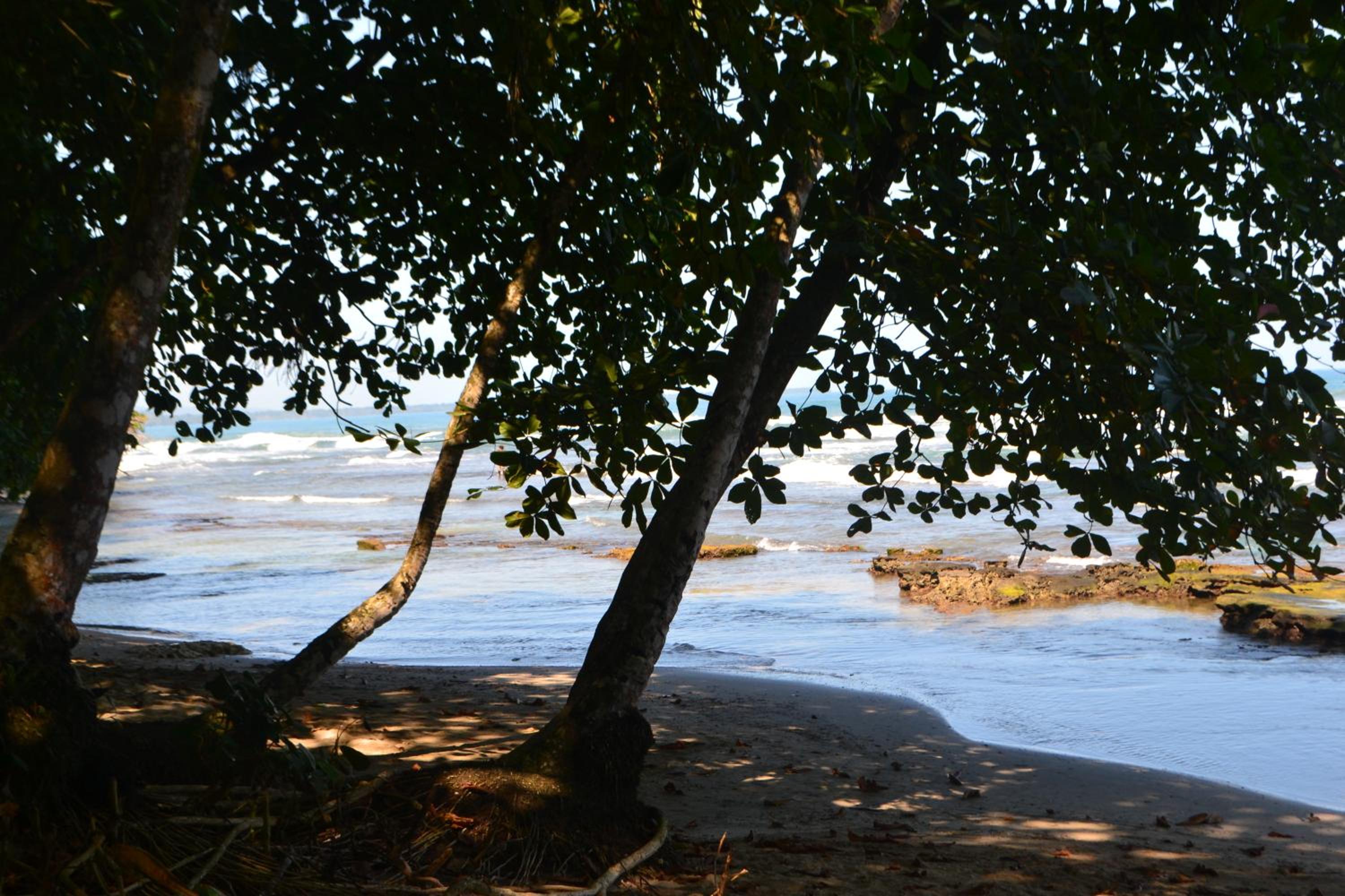 Casitas La Playa