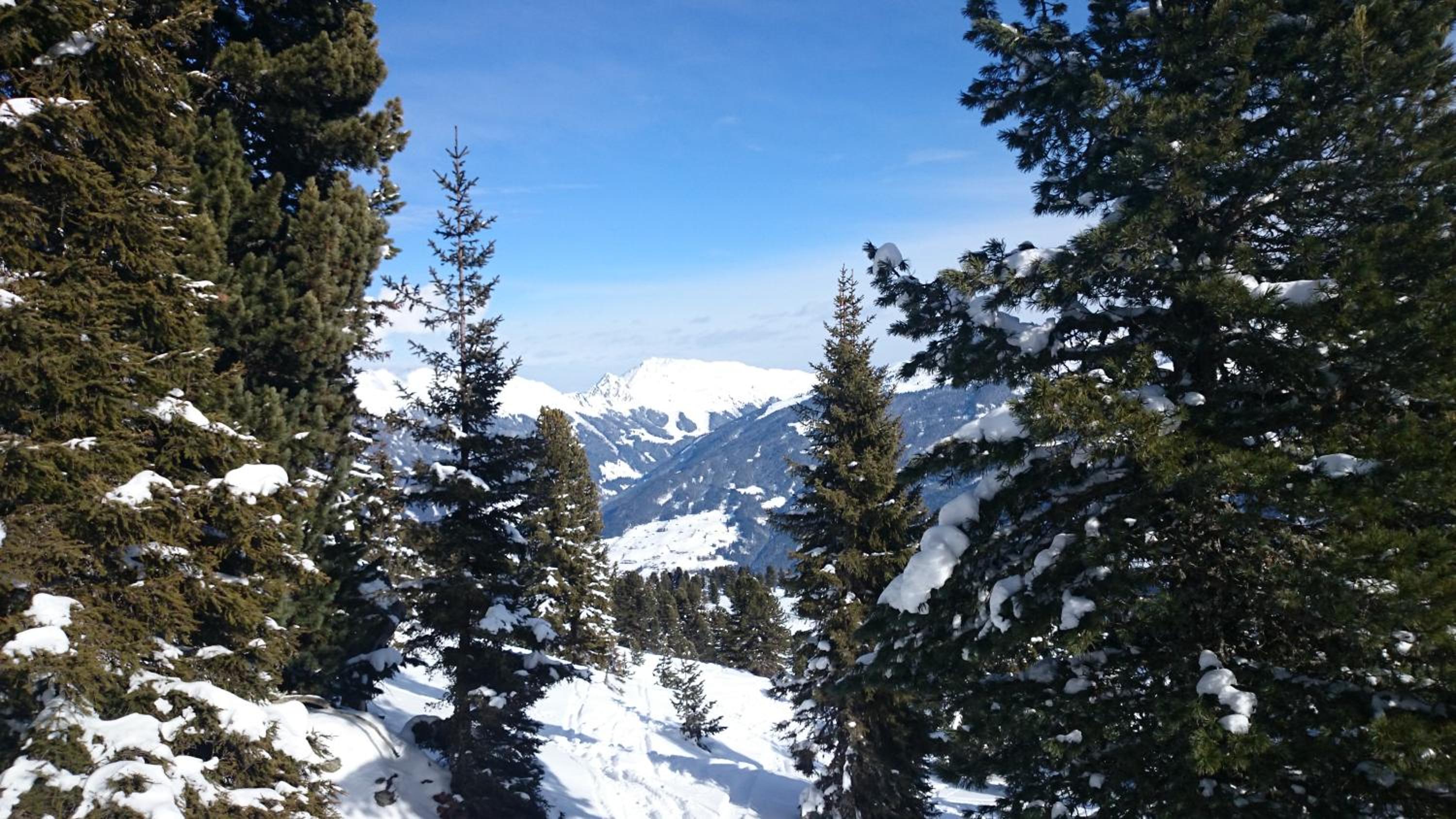 Appartements Rieser - im Herzen von Mayrhofen - sonniger Balkon - 3 Schlafzimmer