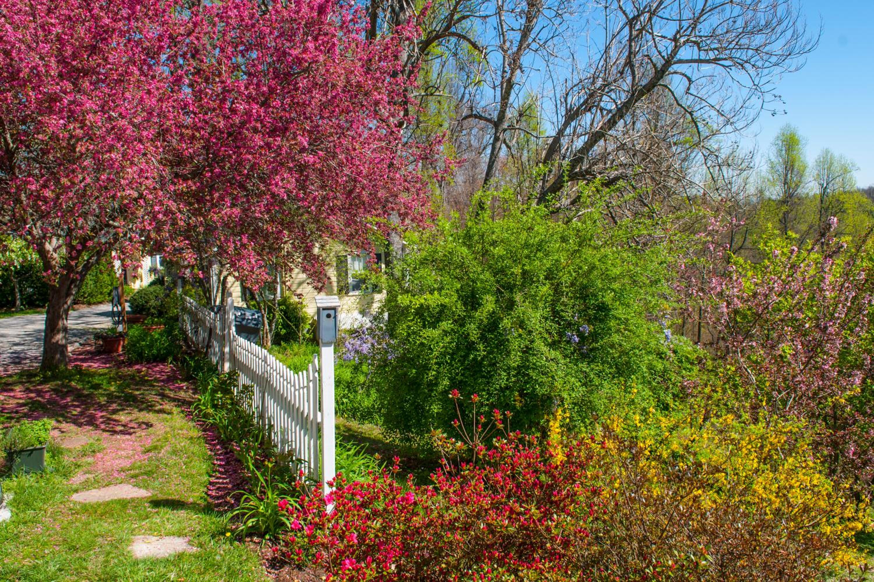 Orchard Inn