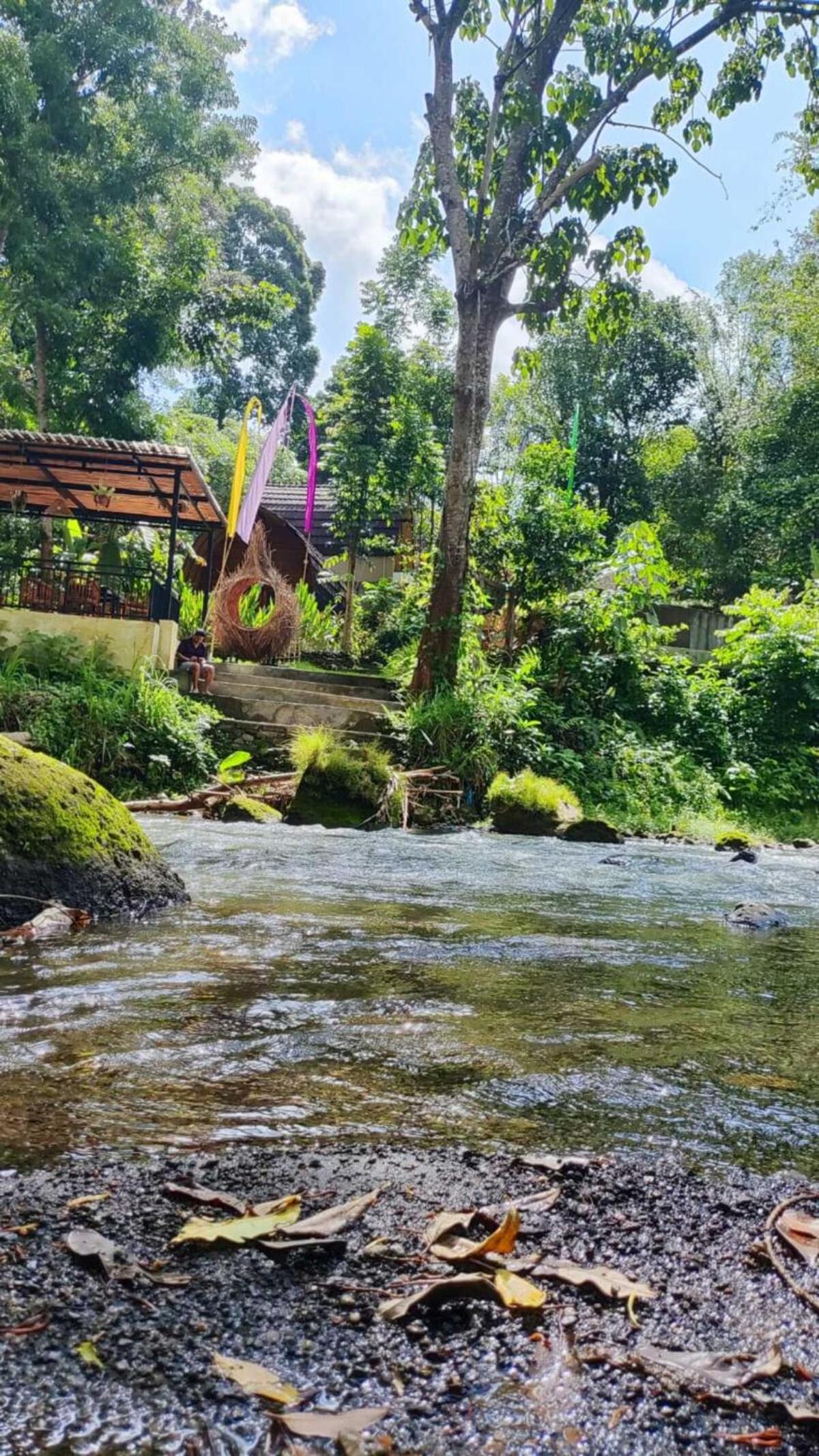 Jungle River 5 BR Villa- Pool, Yoga, Tubing Near Ubud