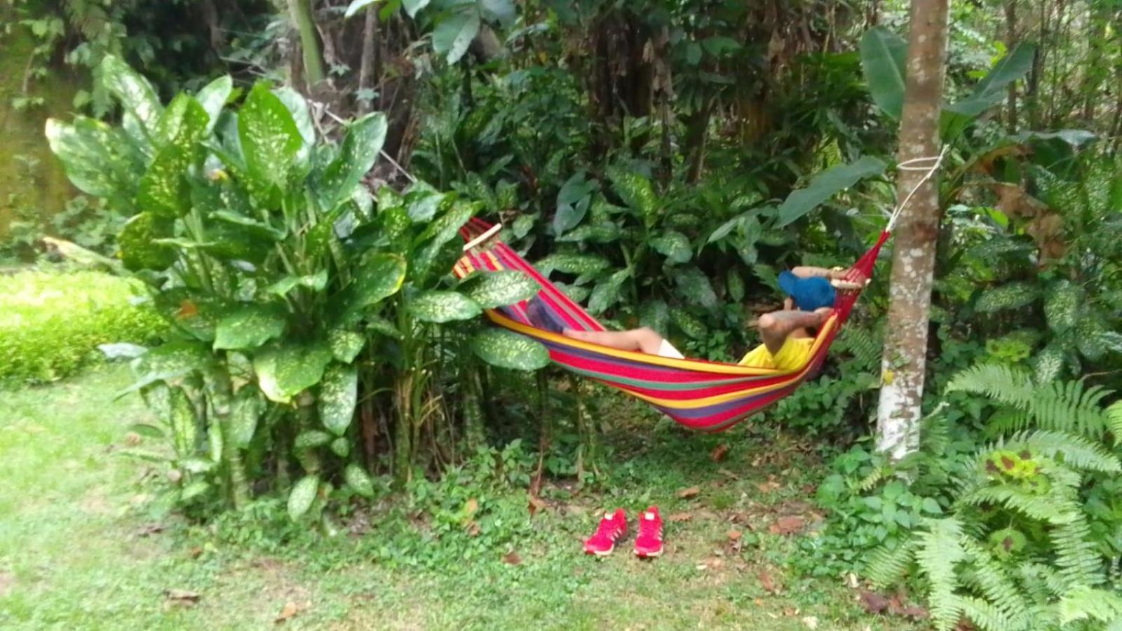 Jungle River 5 BR Villa- Pool, Yoga, Tubing Near Ubud
