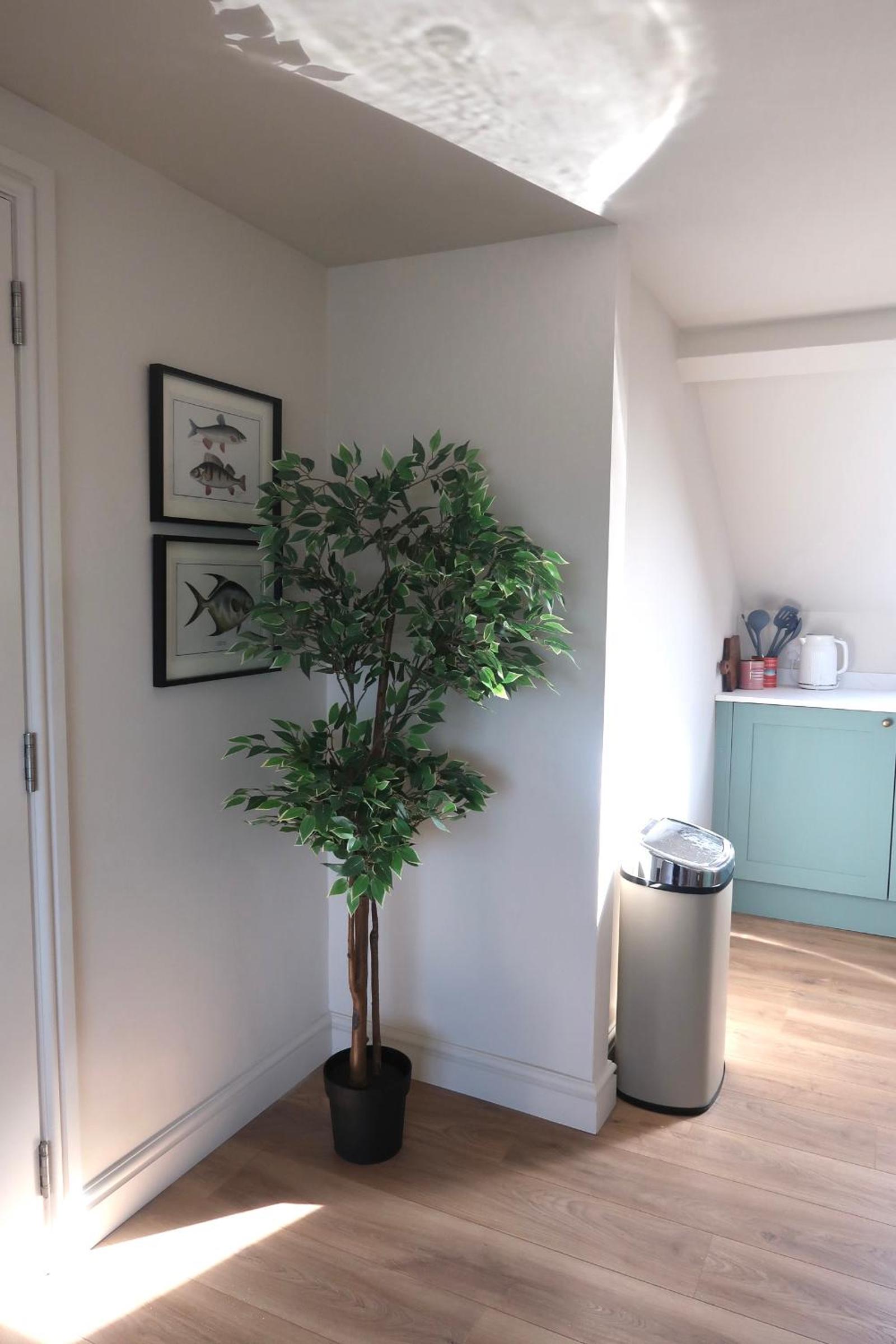Apartments in the centre of Donaghadee