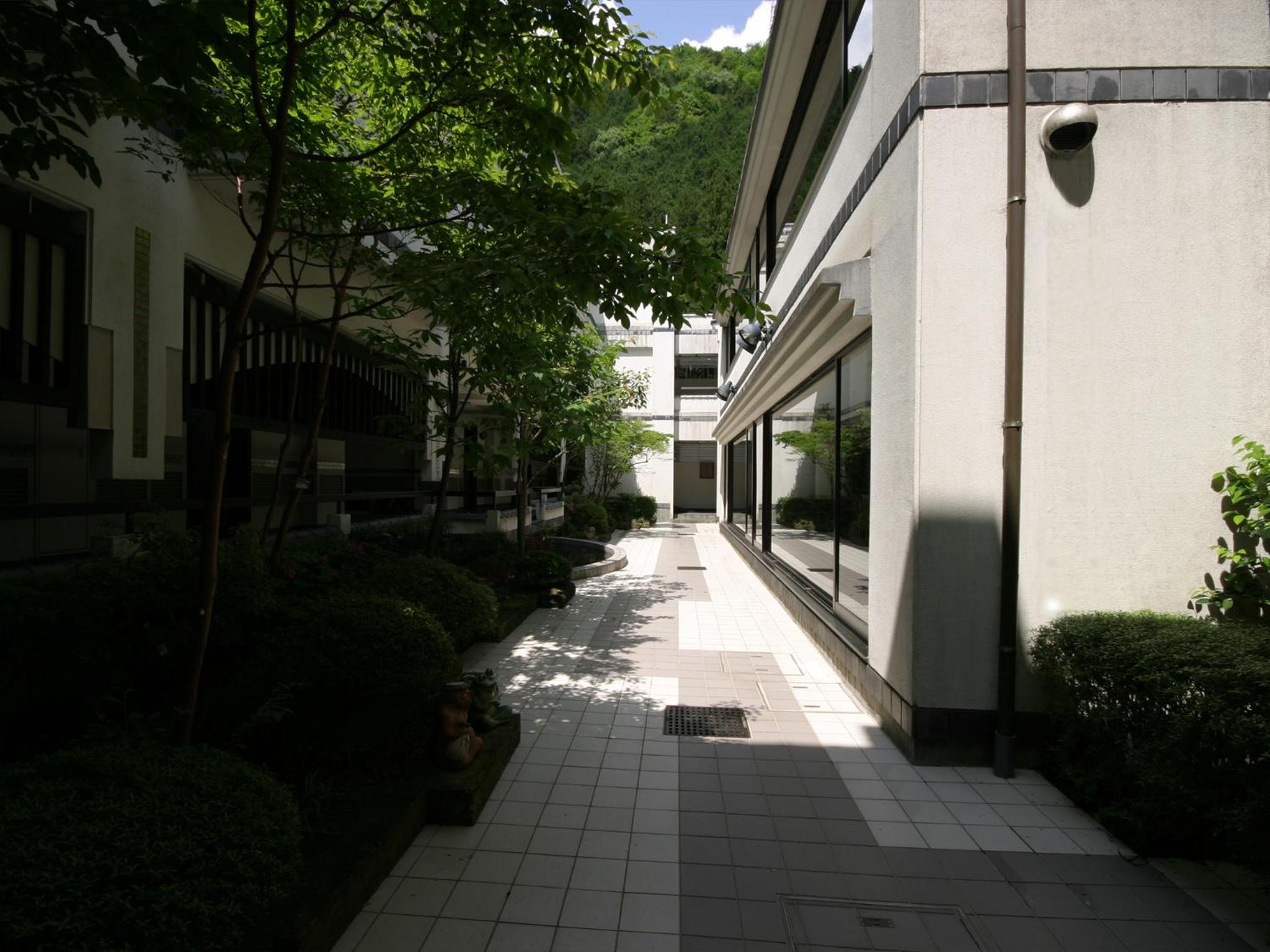 Photo 49