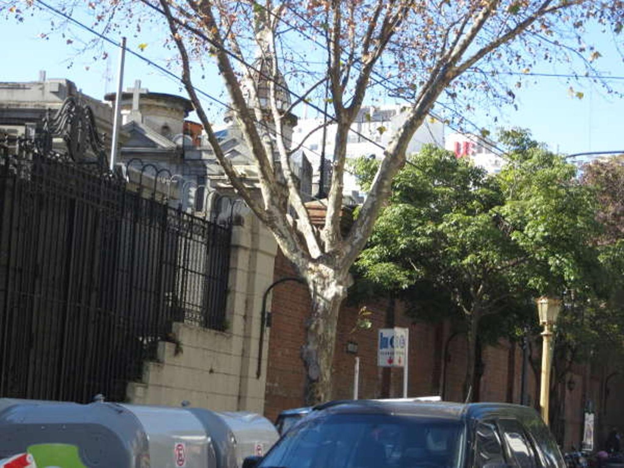 Sunny Recoleta Apartment