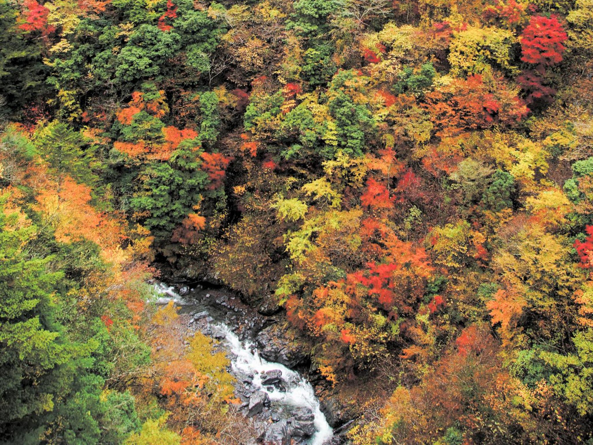 Suikoen view 2
