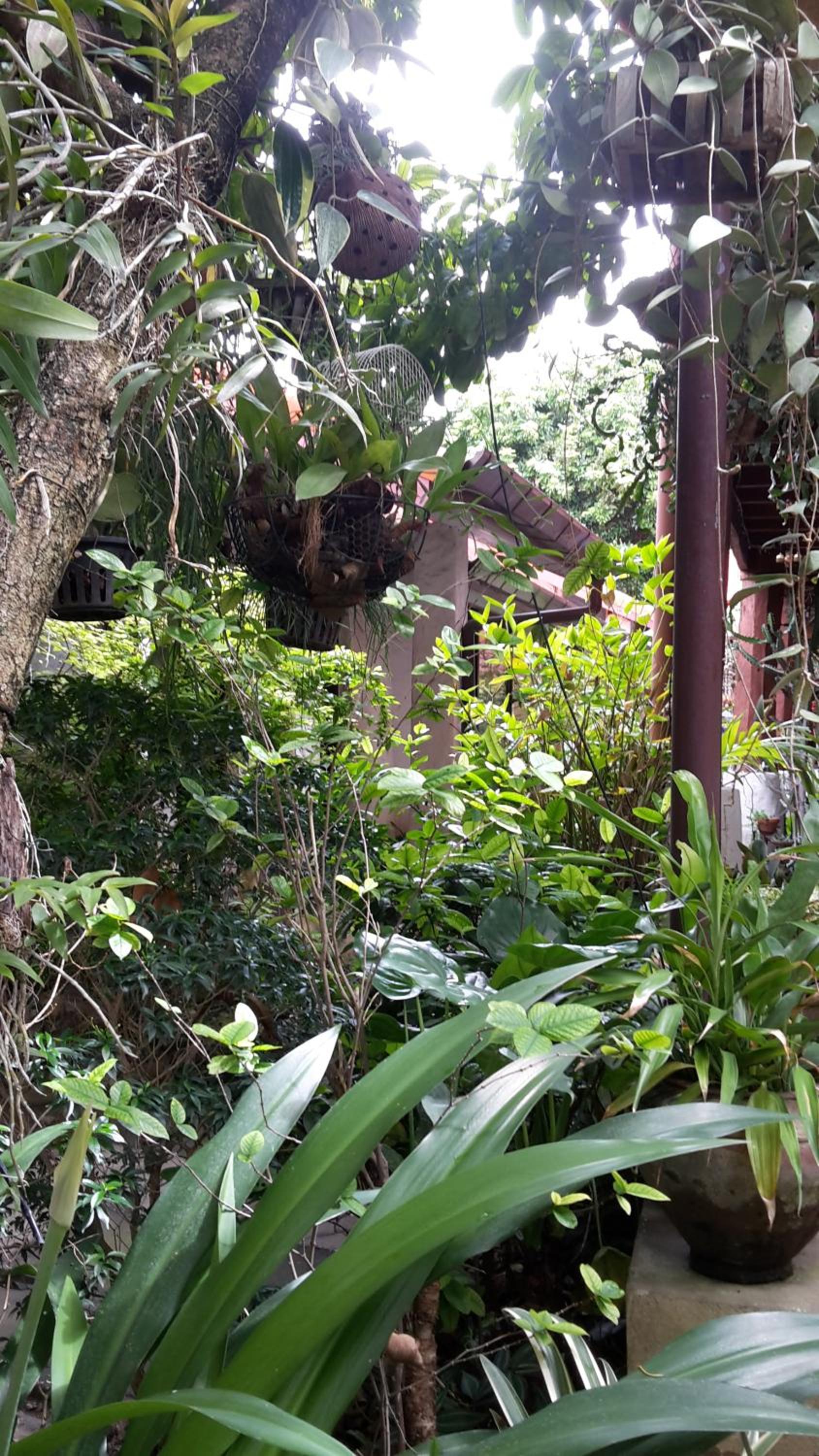 Baan Songjum