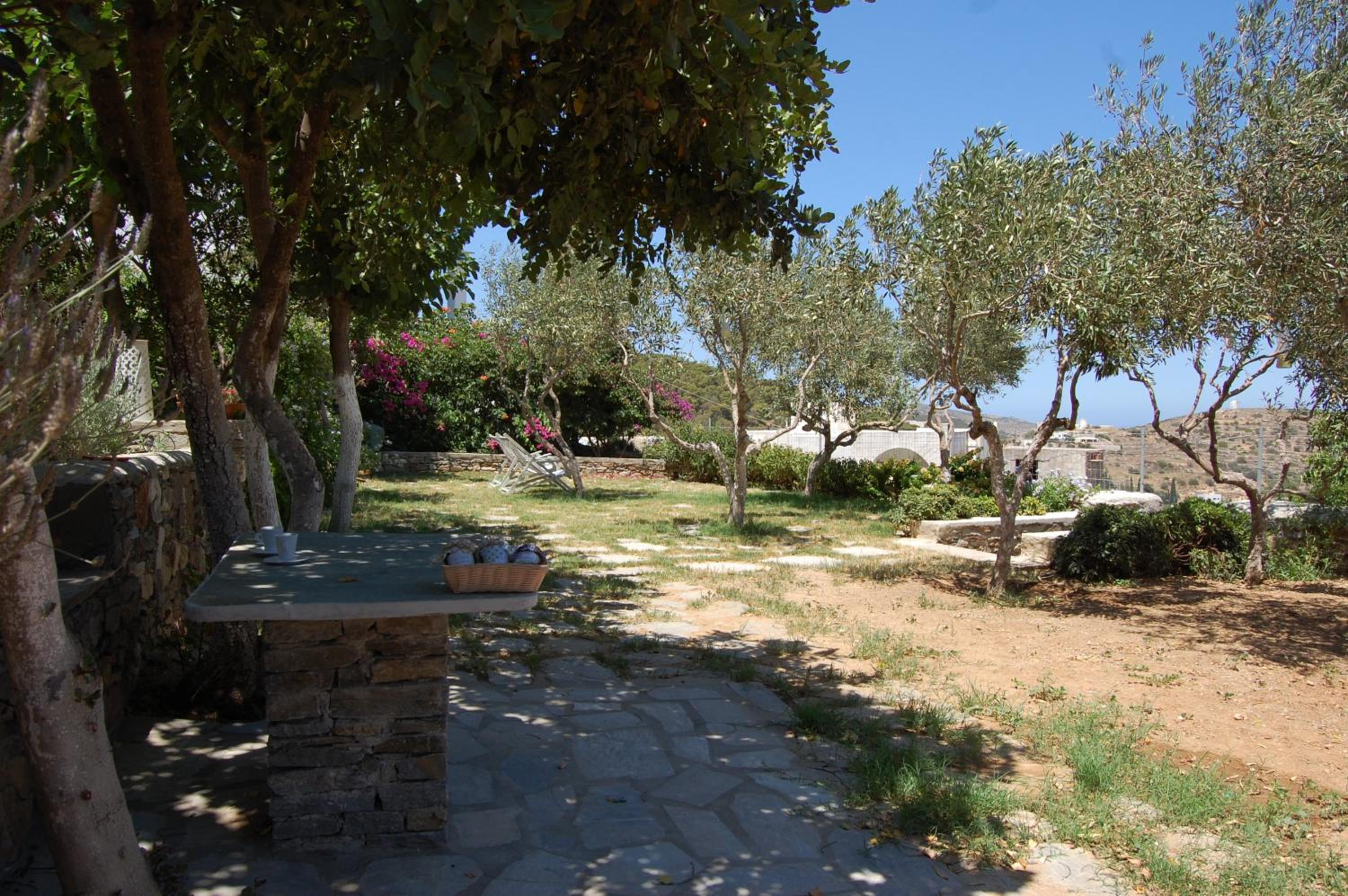 Photo 44
