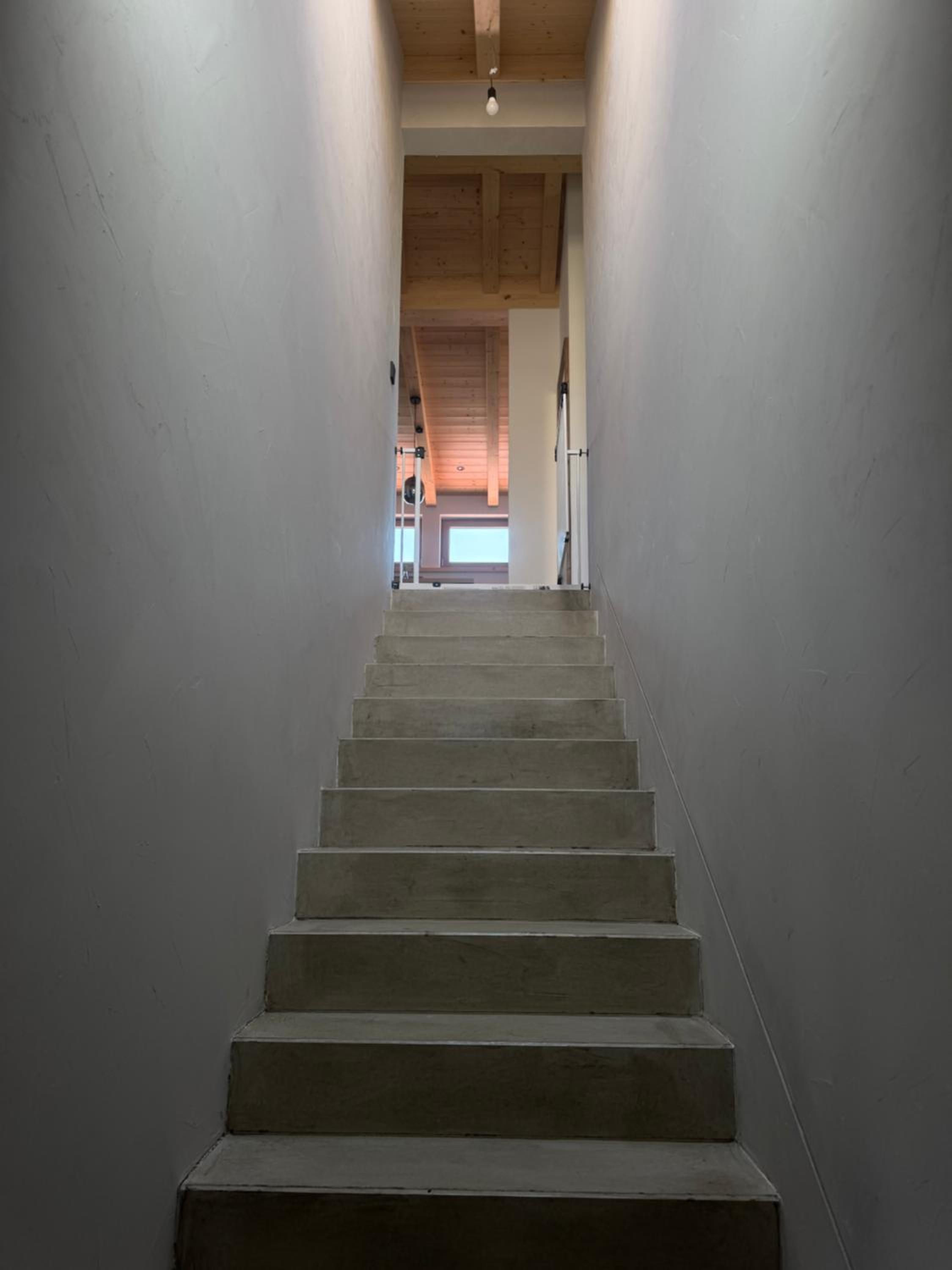 Gams im Glück