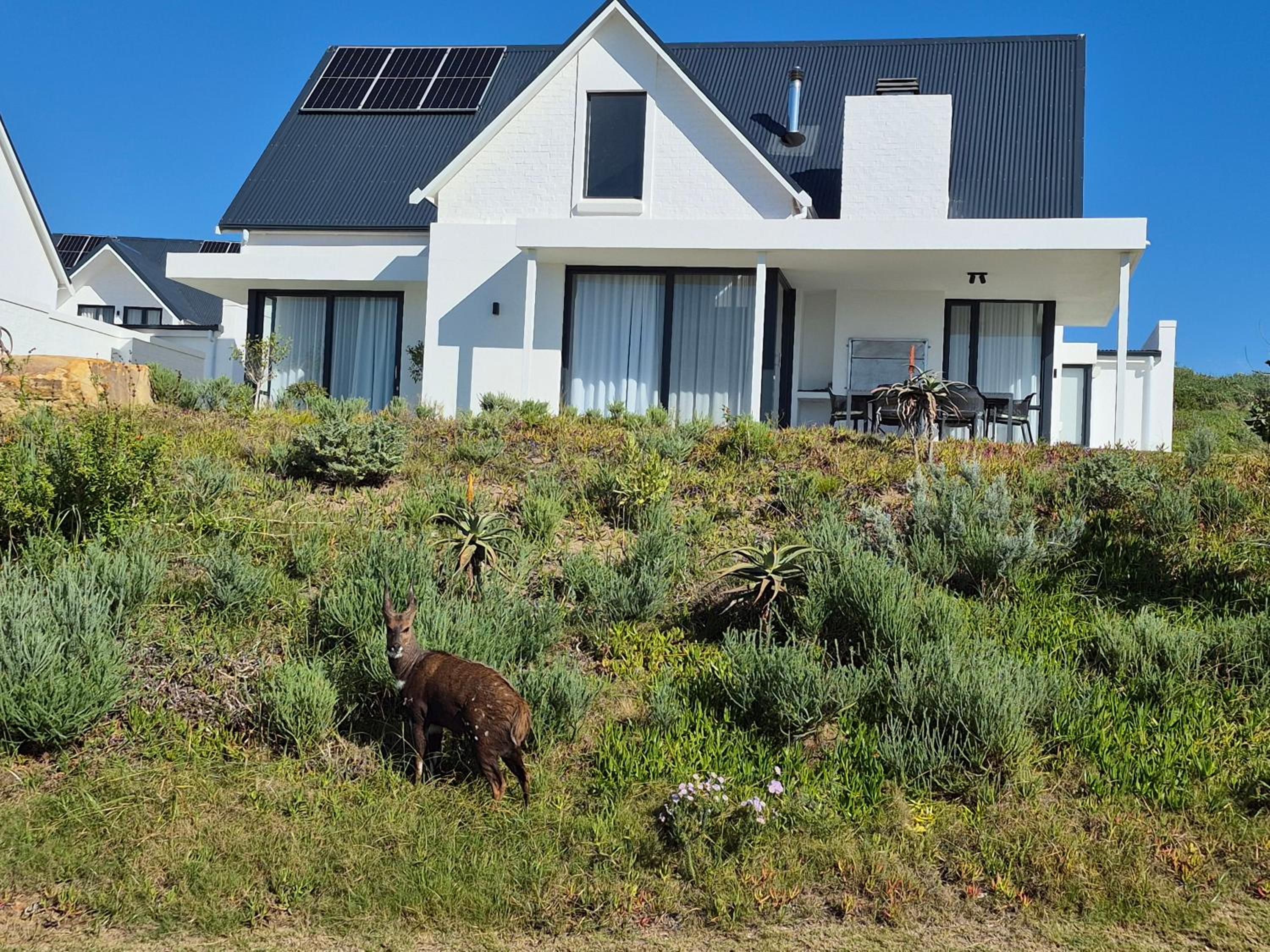 Three Bedroom Villa, St Francis Links on the 18th