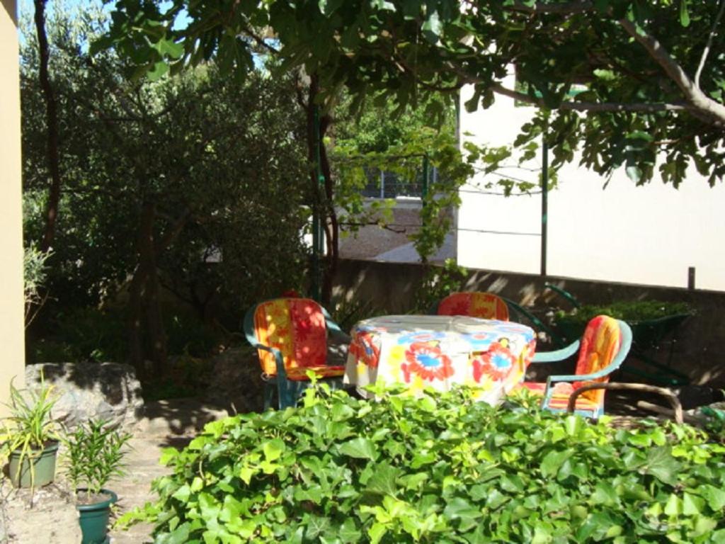Photo 18
