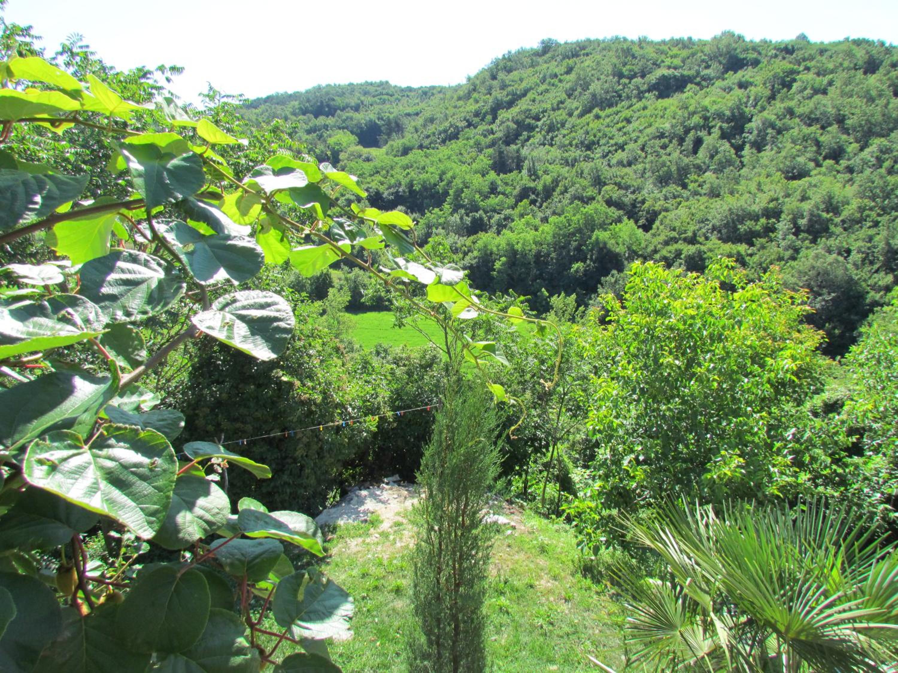Photo 49