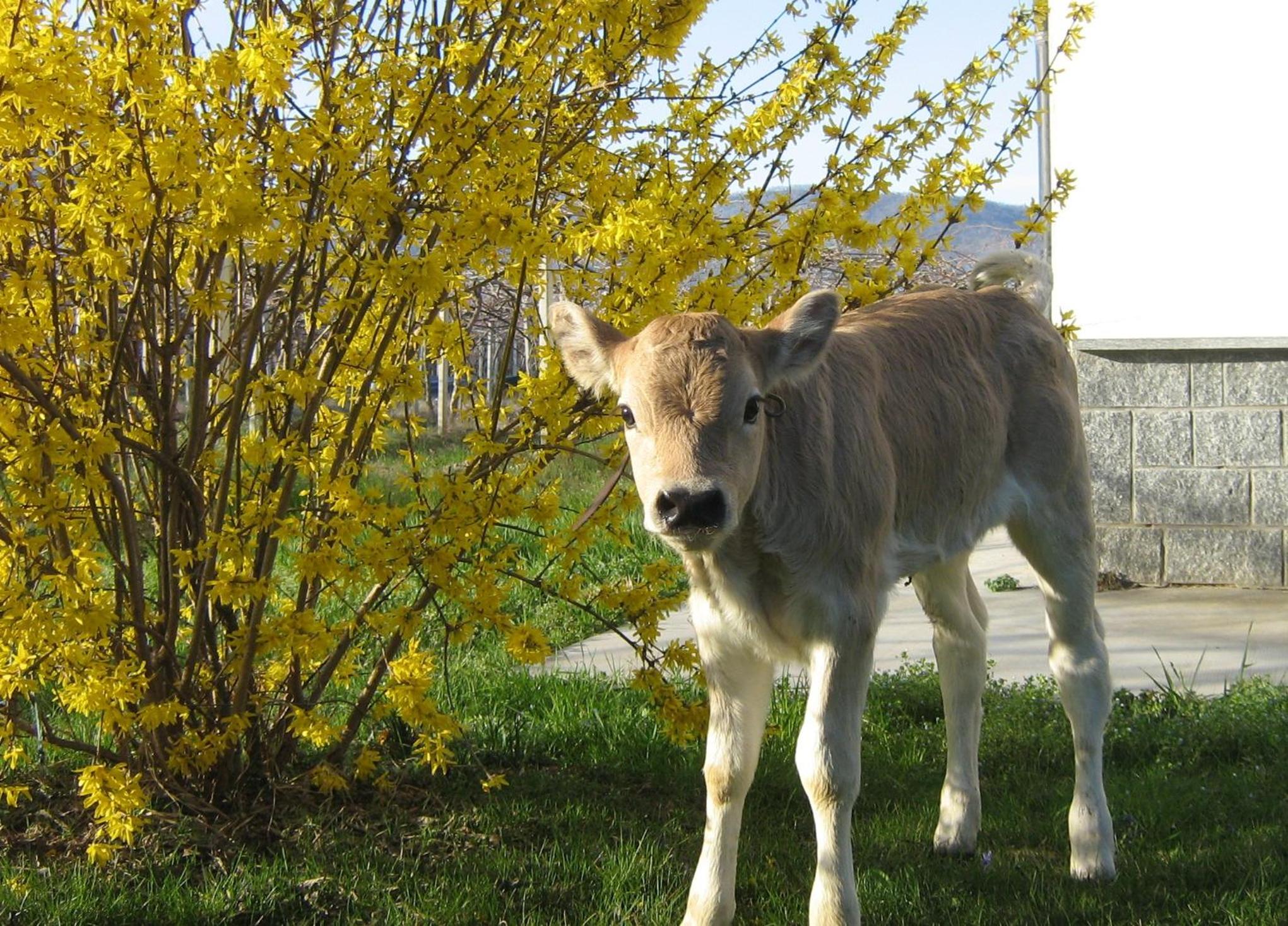 Agriturismo Fior Di Campo