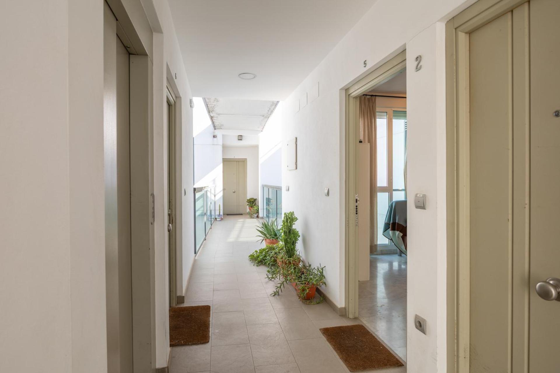 Arrayan Central Suite by Valcambre