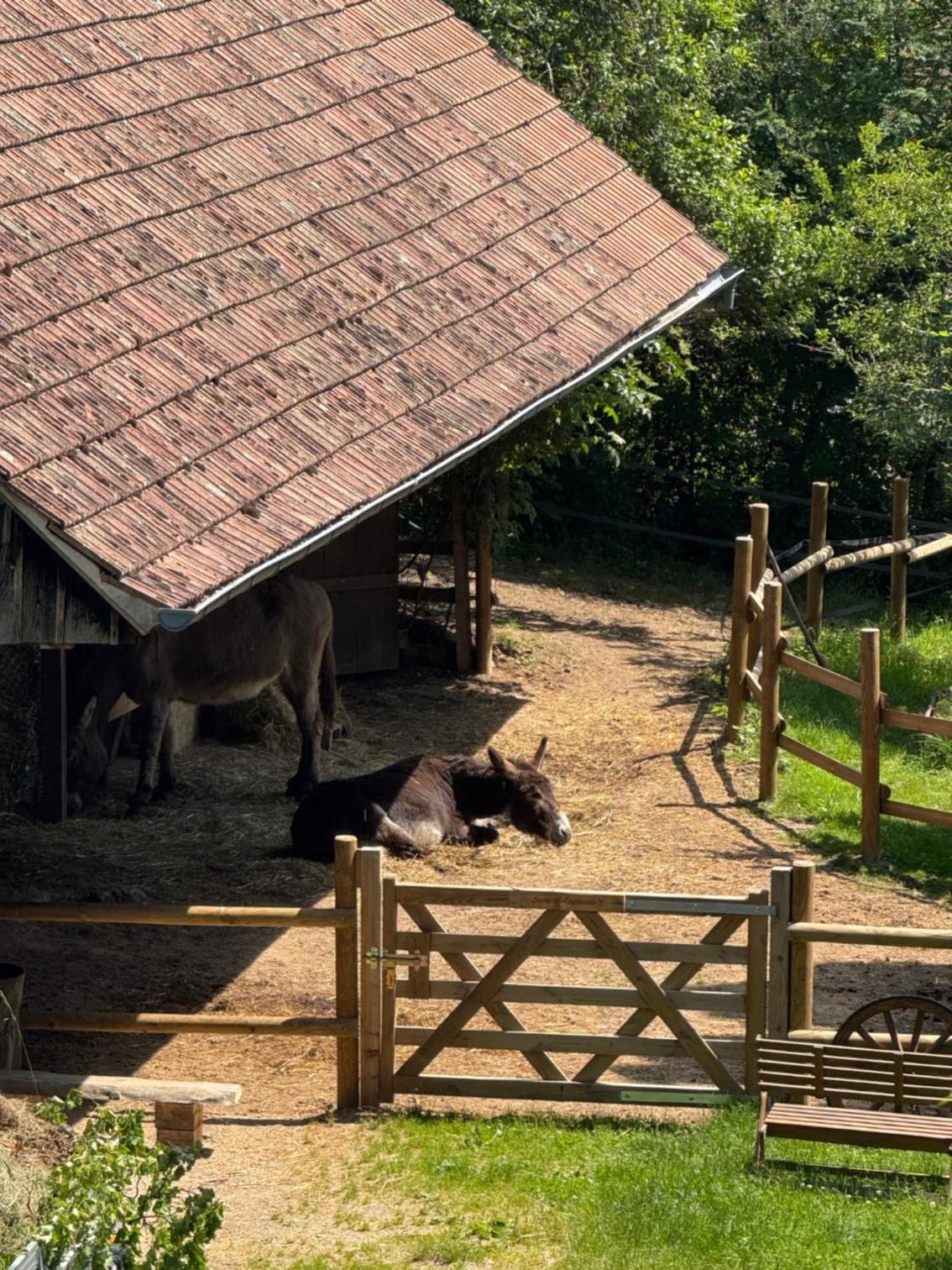 Le Manoir des Sens - Forêt de Bergheim