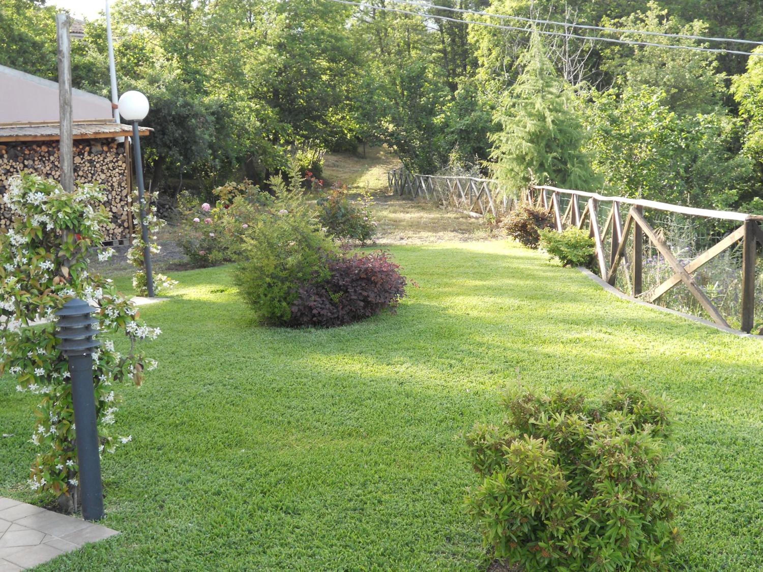 Photo 42