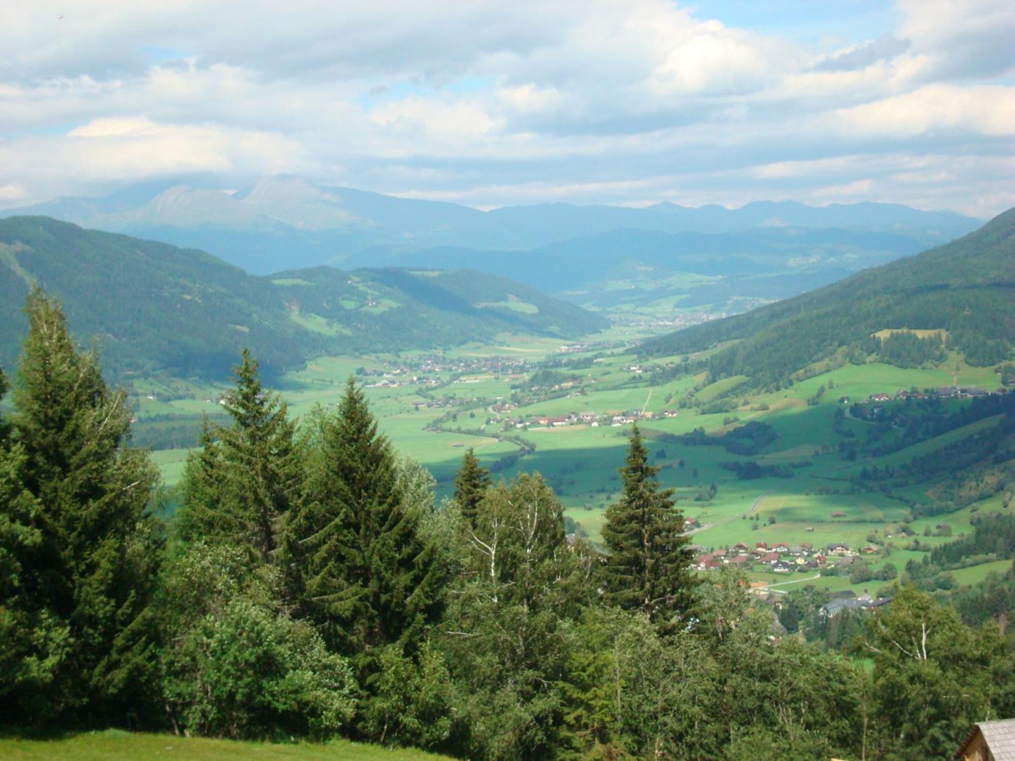 Photo 42