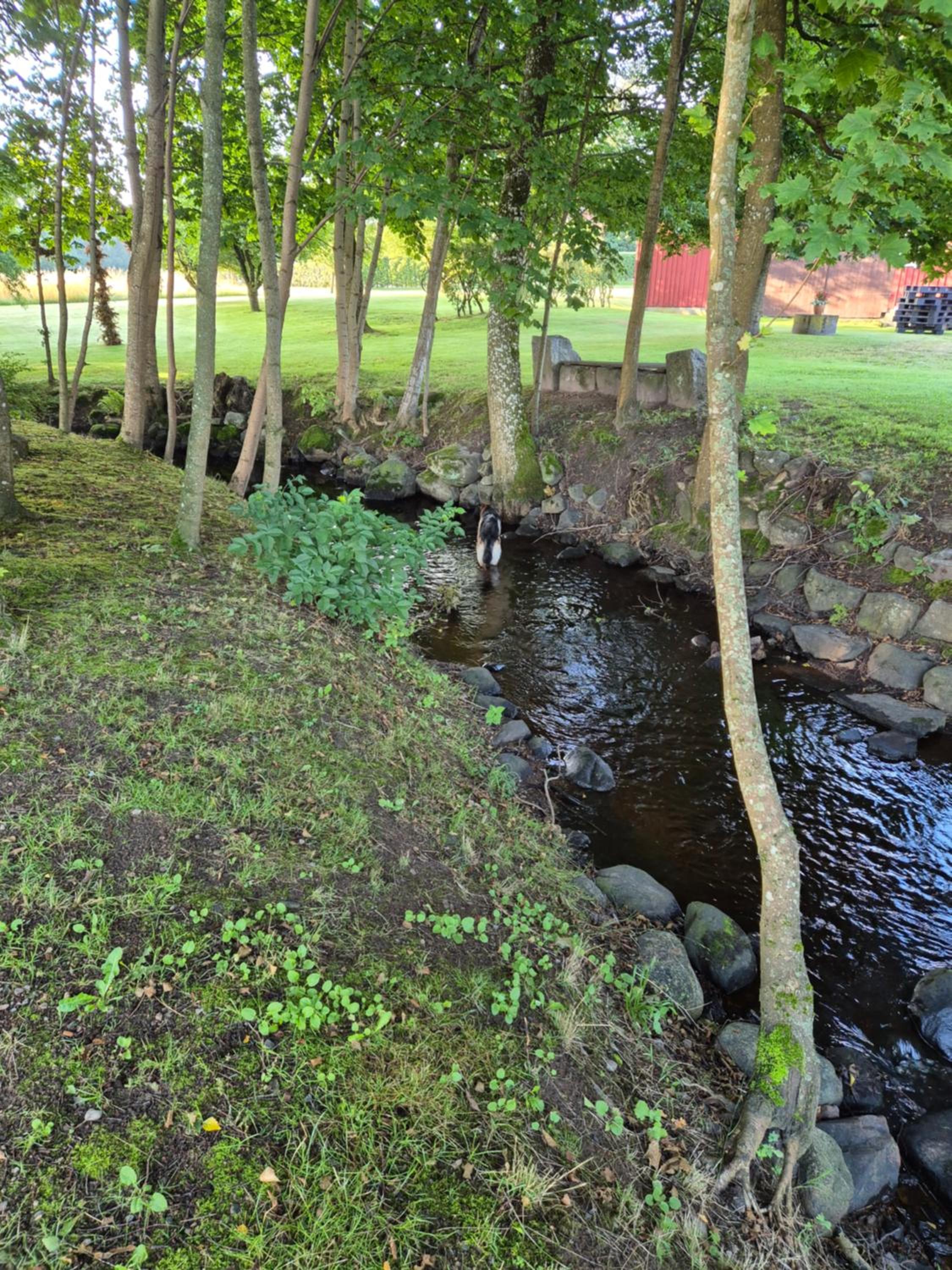 Country Lodge Lärkboet