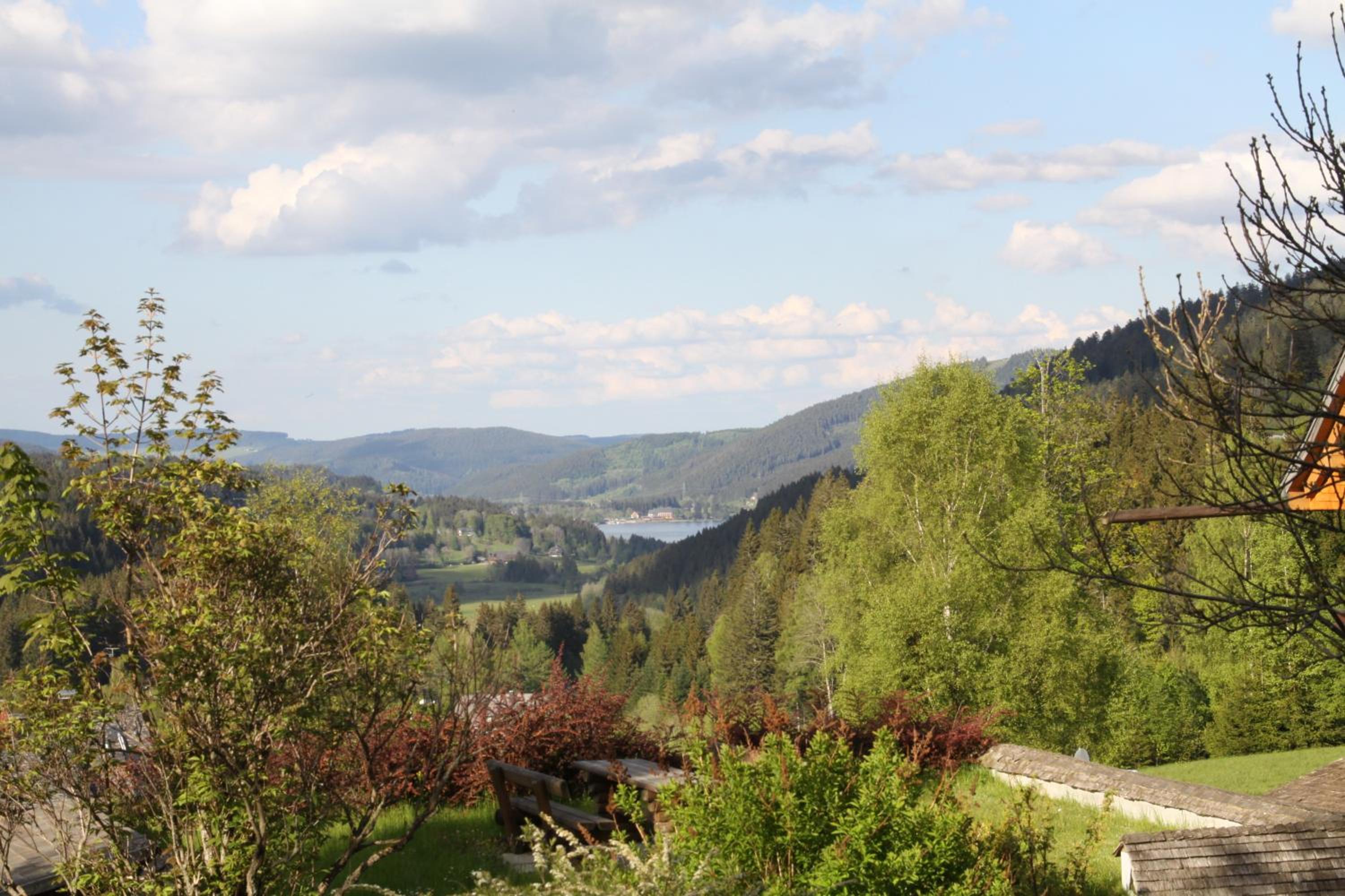 Photo 48