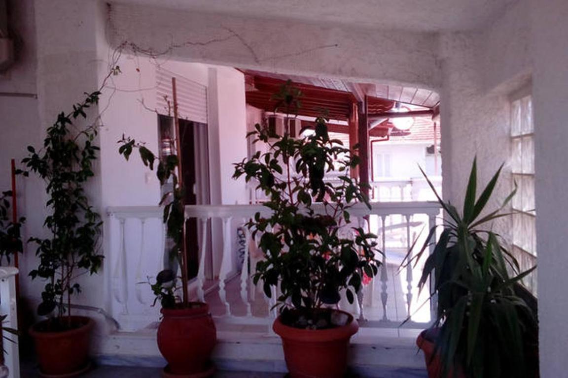 Photo 38