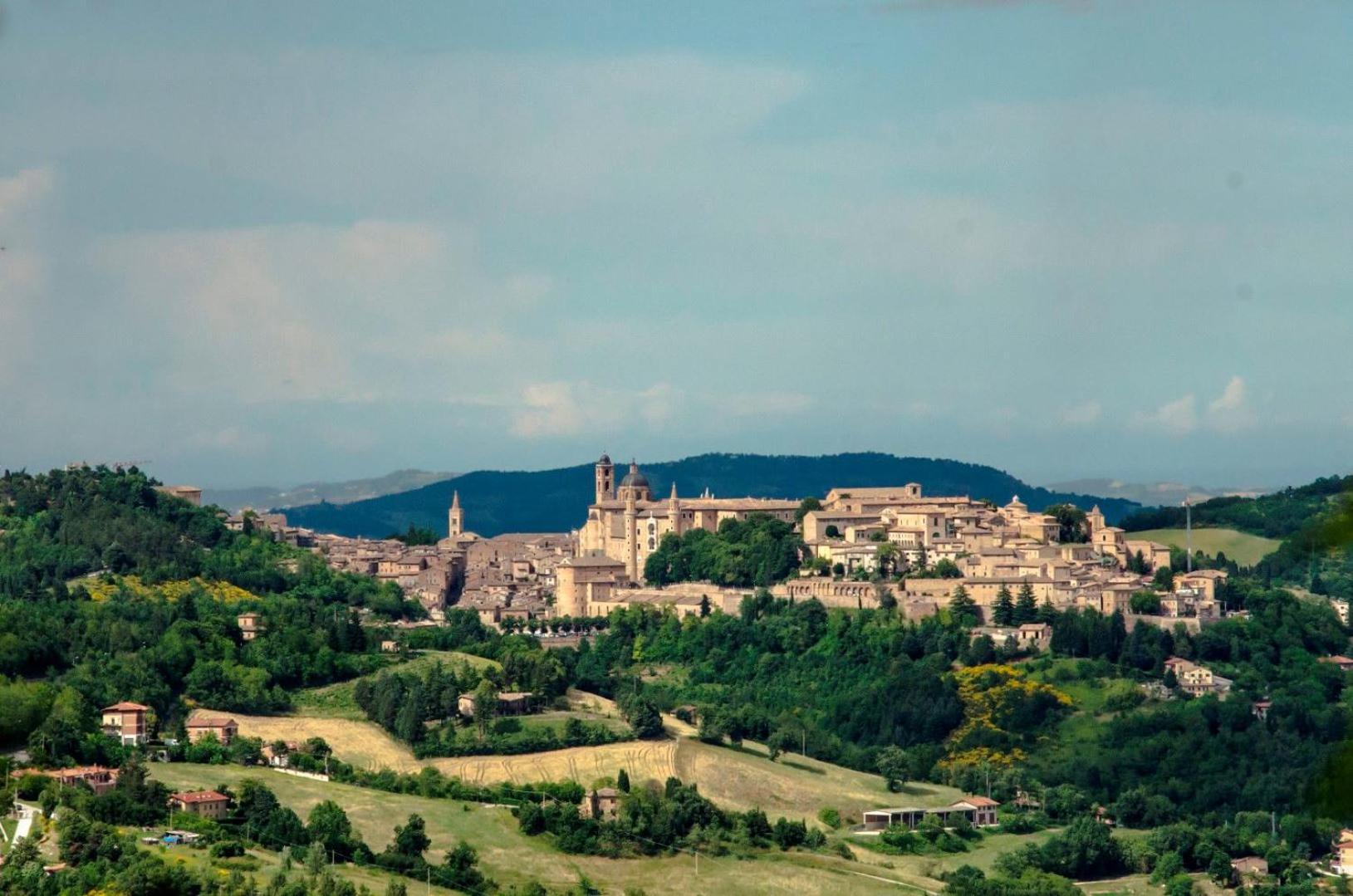Calmancino delle Selve