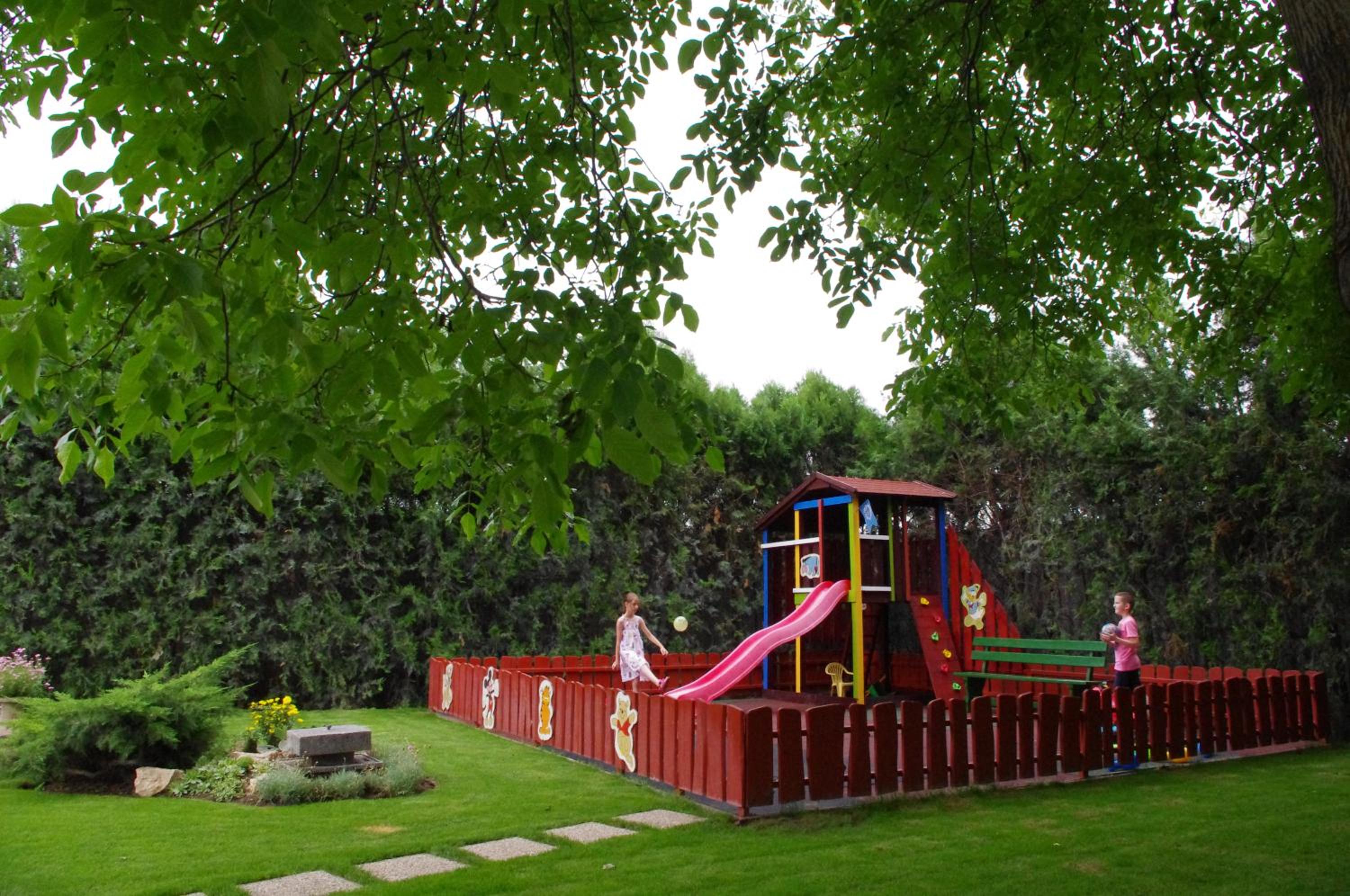 Photo 11