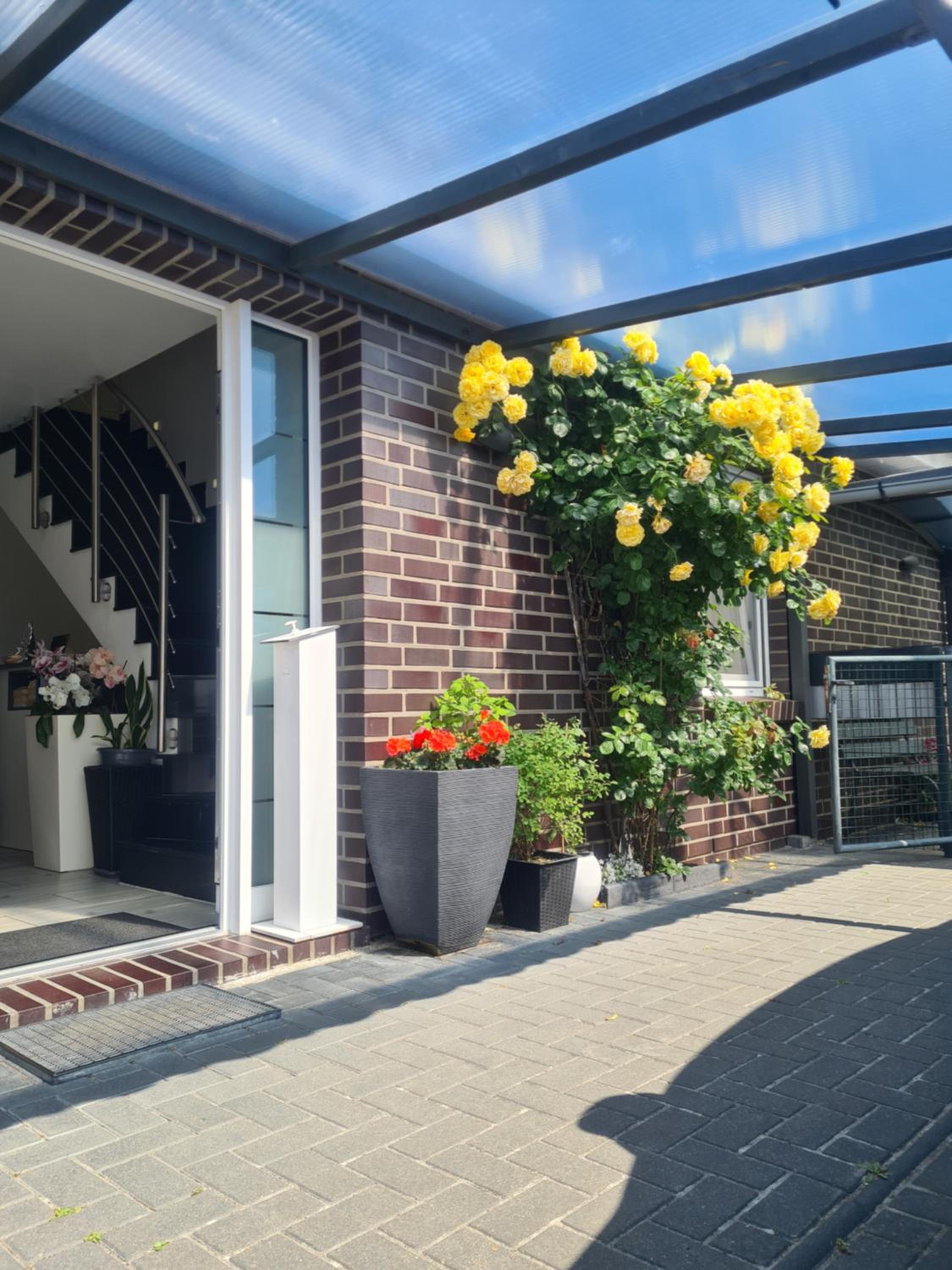Pension Seeufer Norddeich, photo 12