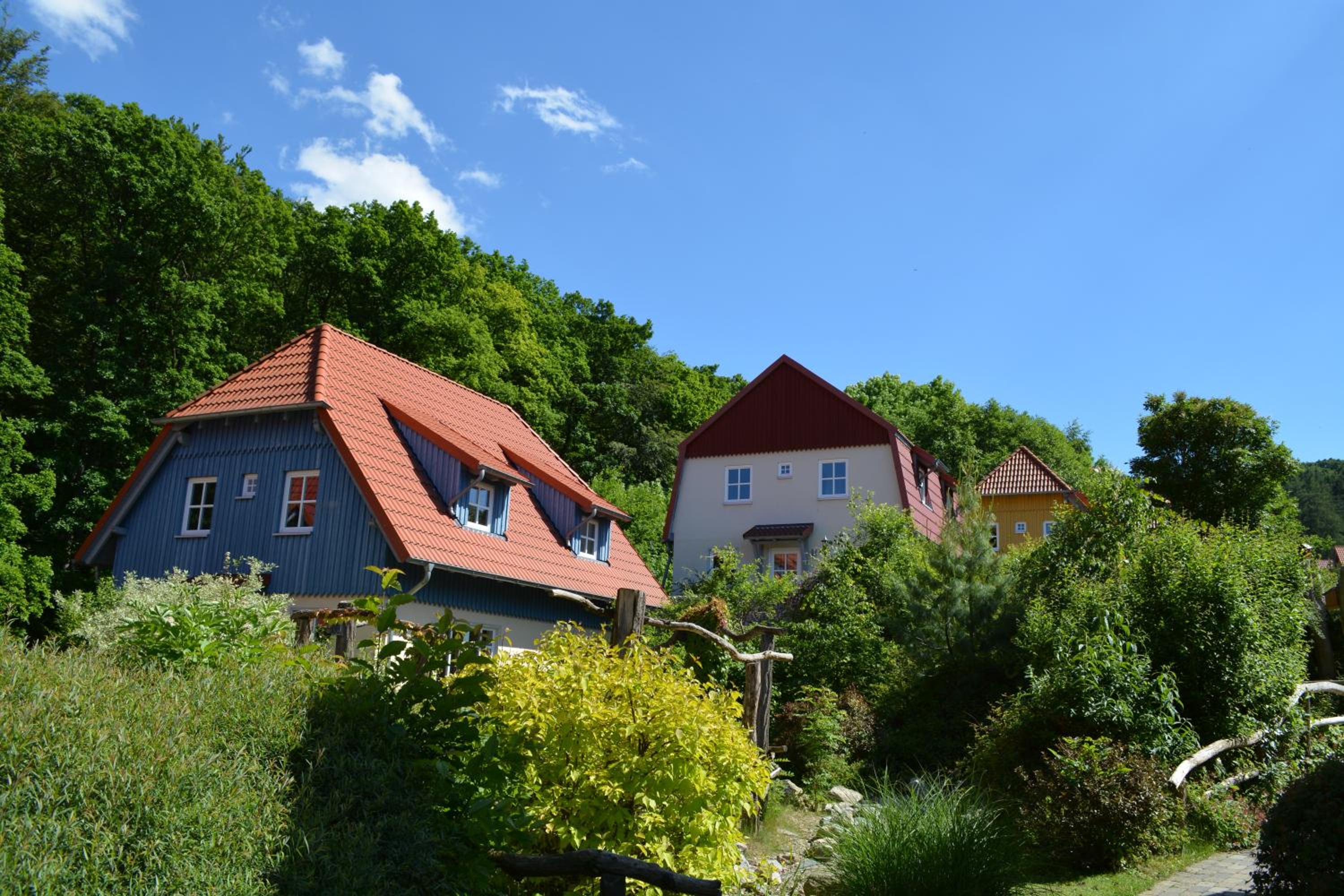 Photo 40