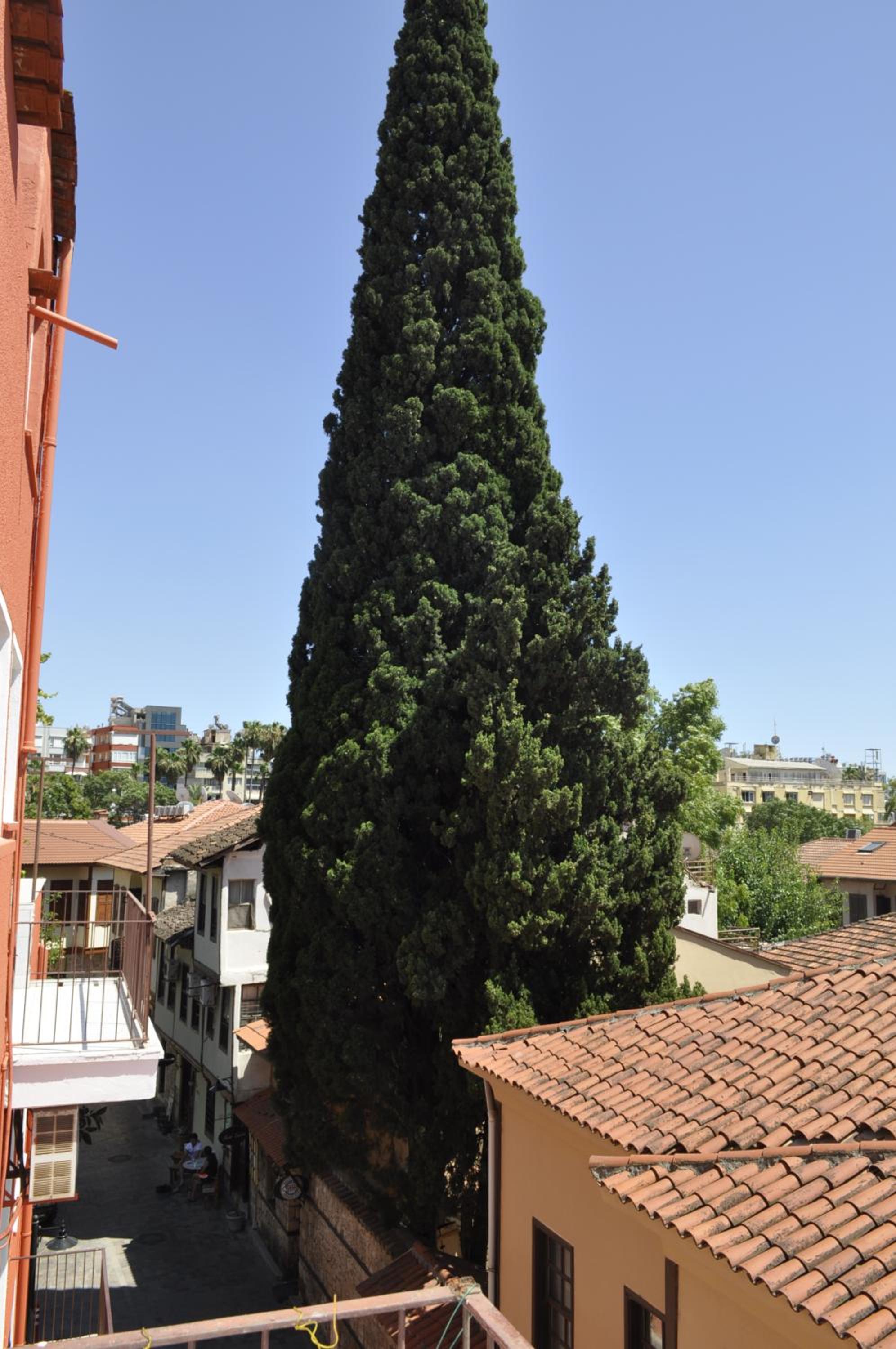 Erkal Pension - Image 118