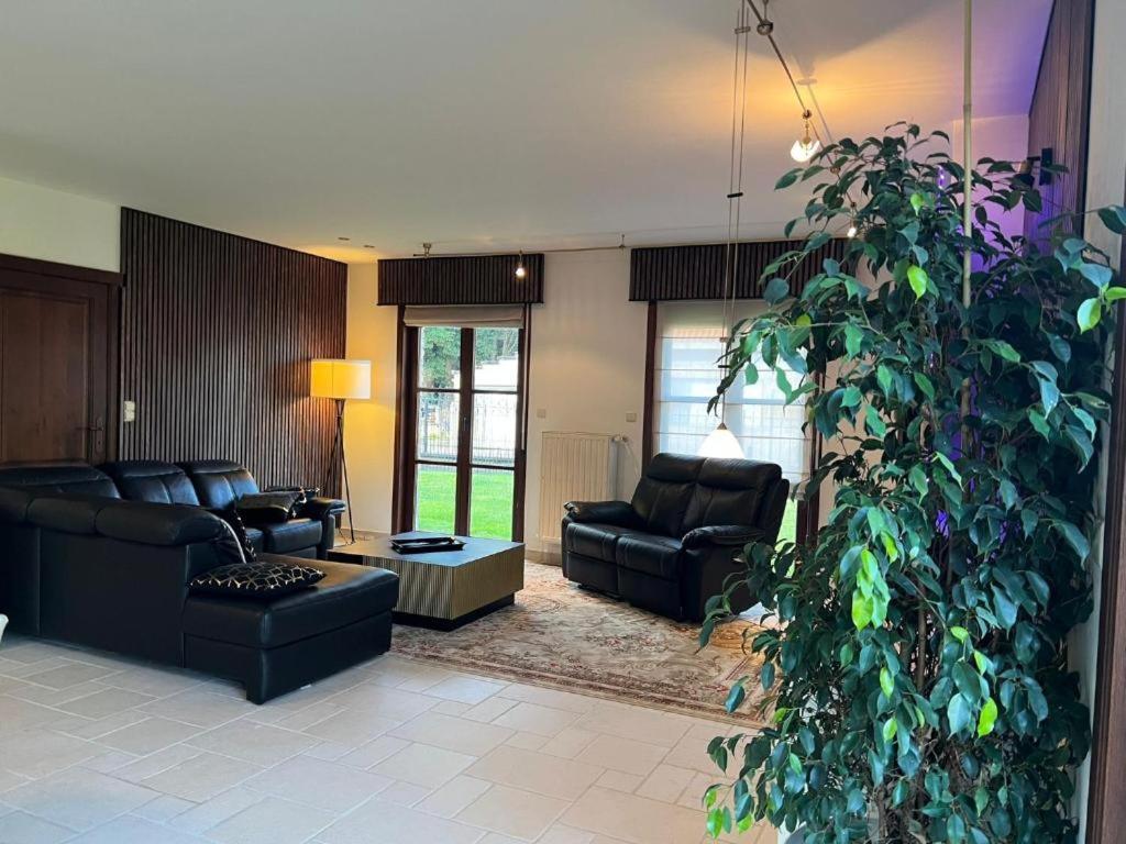 Villa op de hoek Rooms