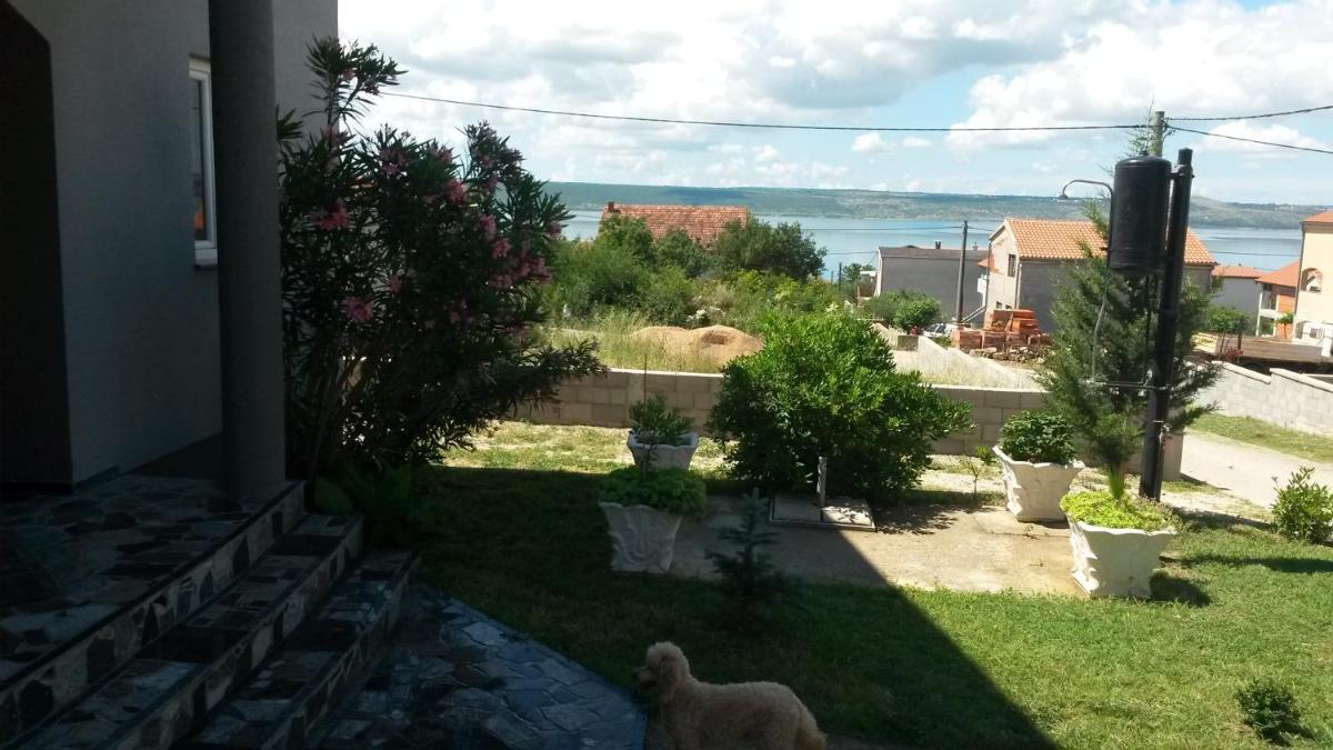 Photo 12