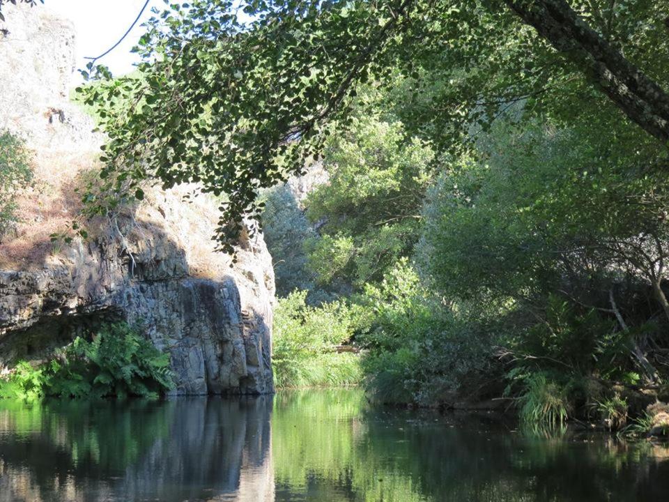 Photo 46