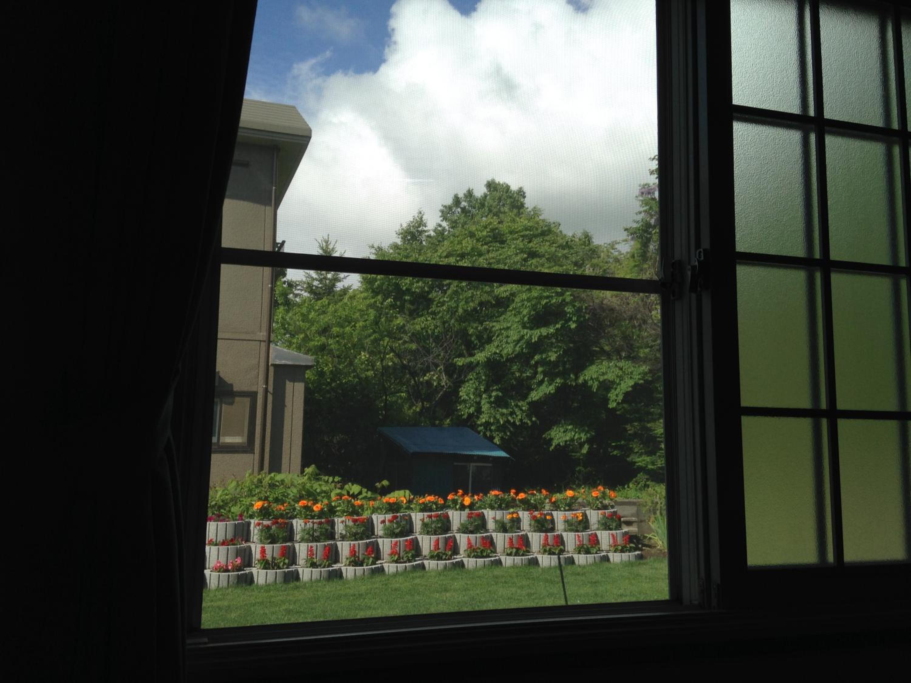 Photo 25