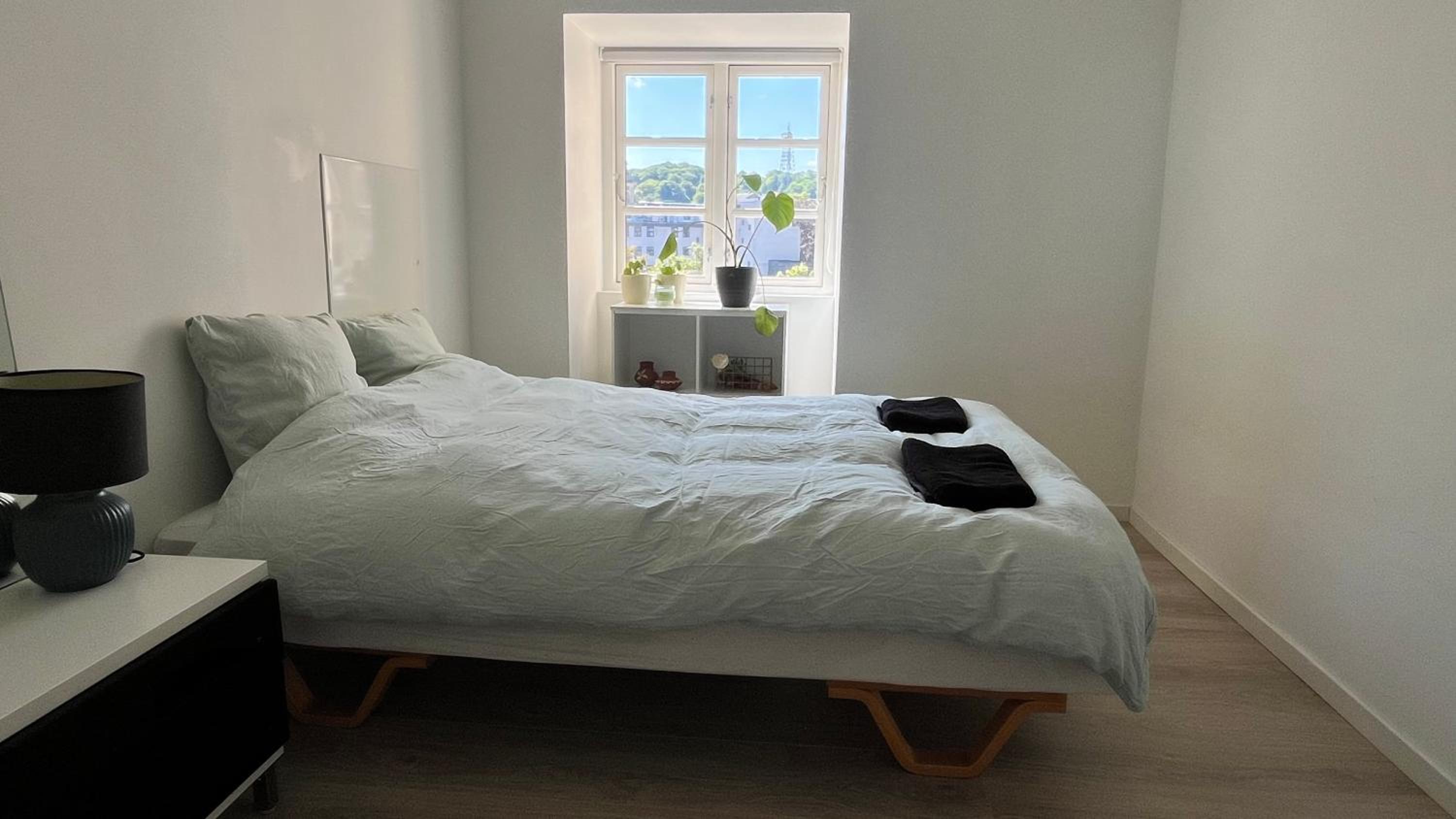 Apartment Alma - Cosy Stay in Aalborg C