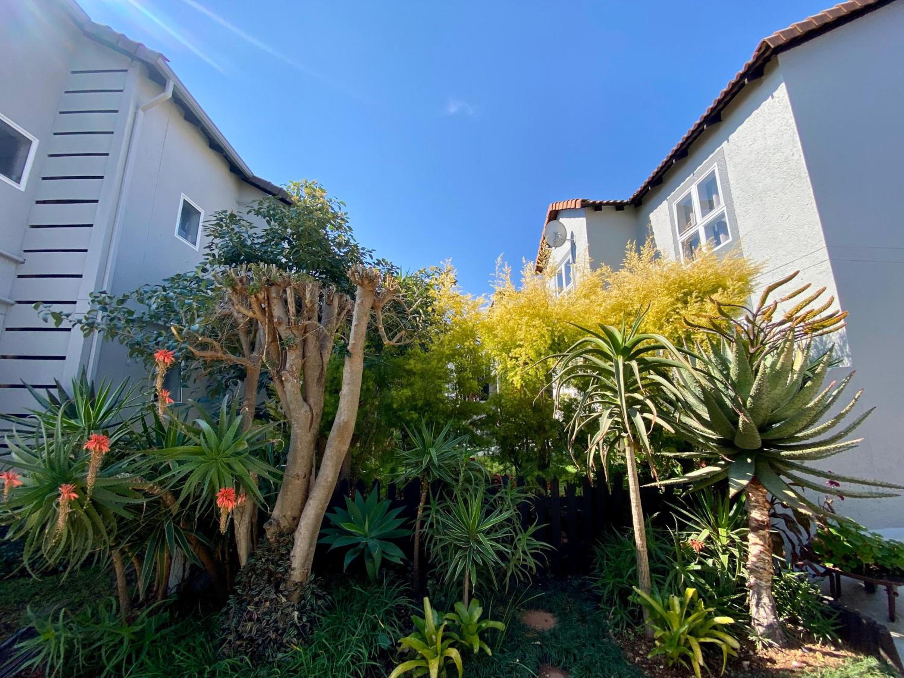 Luxury Garden Retreat 2B Sandton