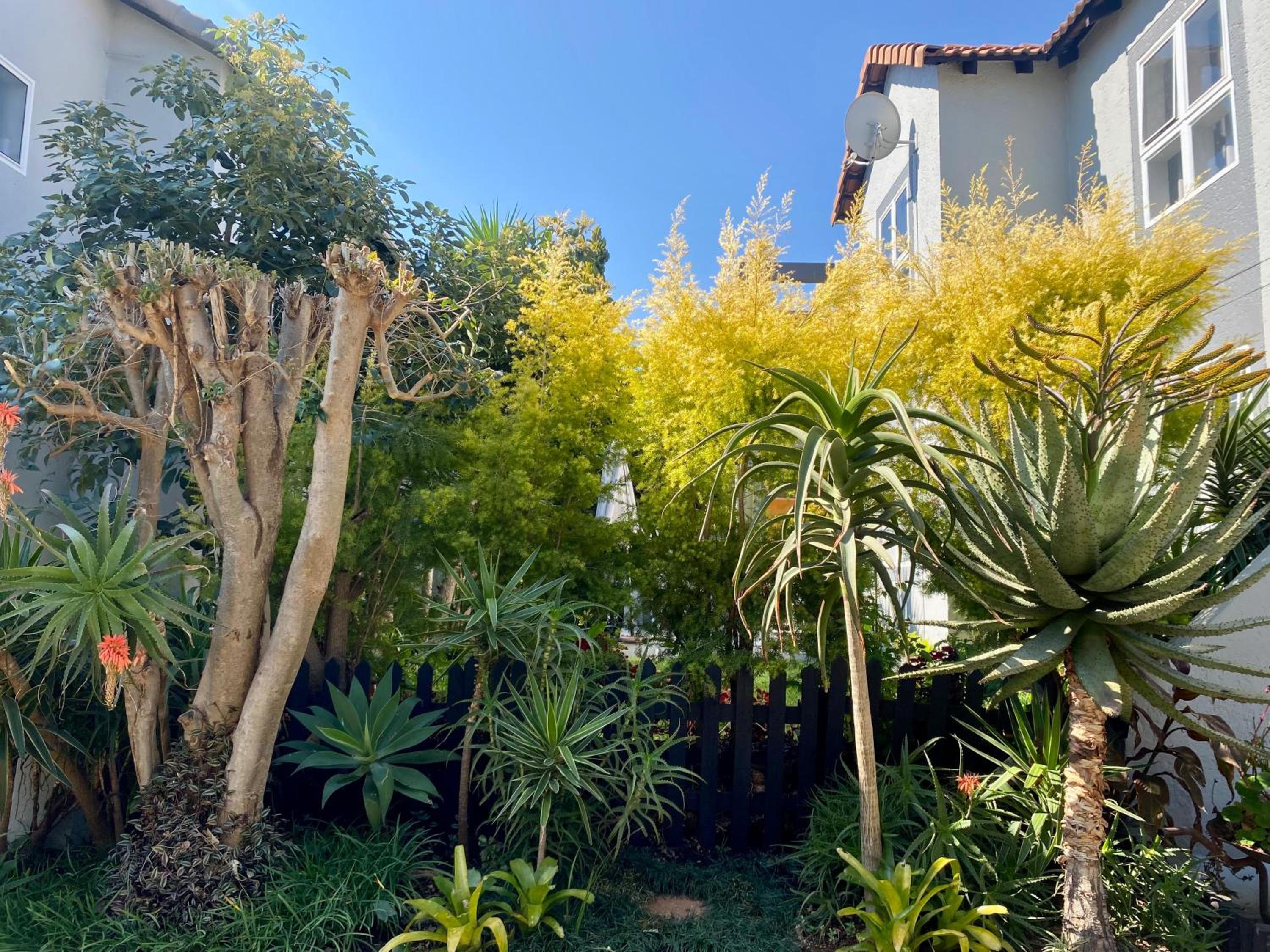 Luxury Garden Retreat 2B Sandton