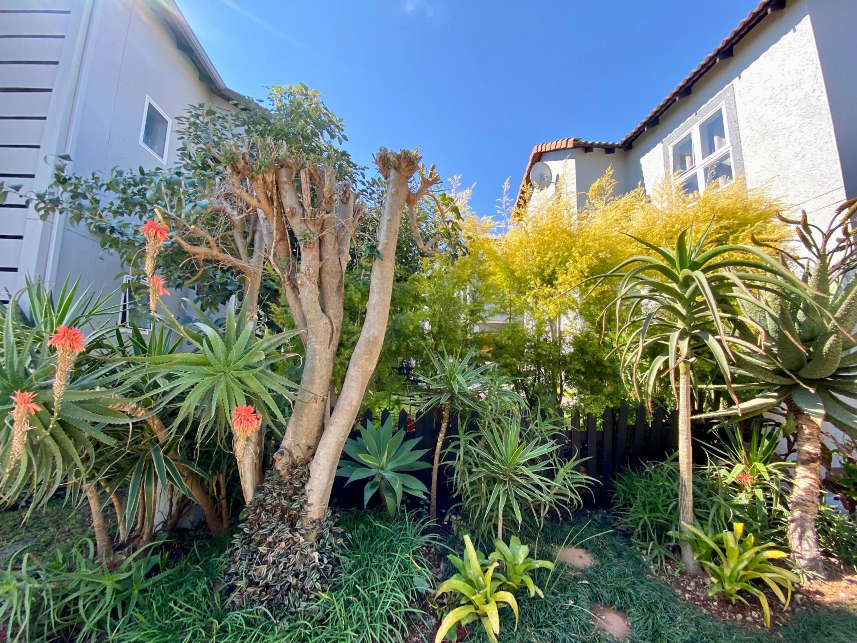 Luxury Garden Retreat 2B Sandton