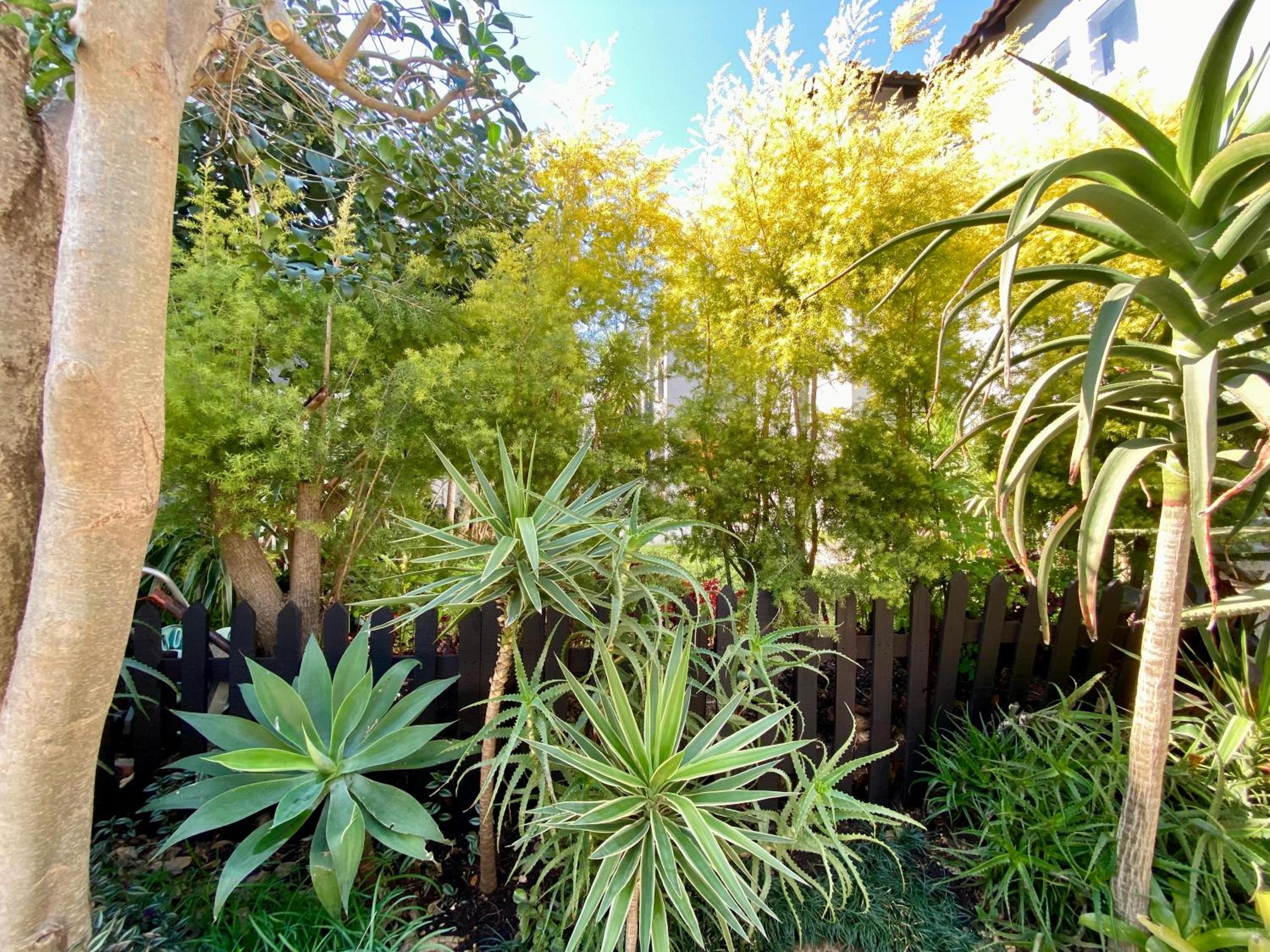 Luxury Garden Retreat 2B Sandton