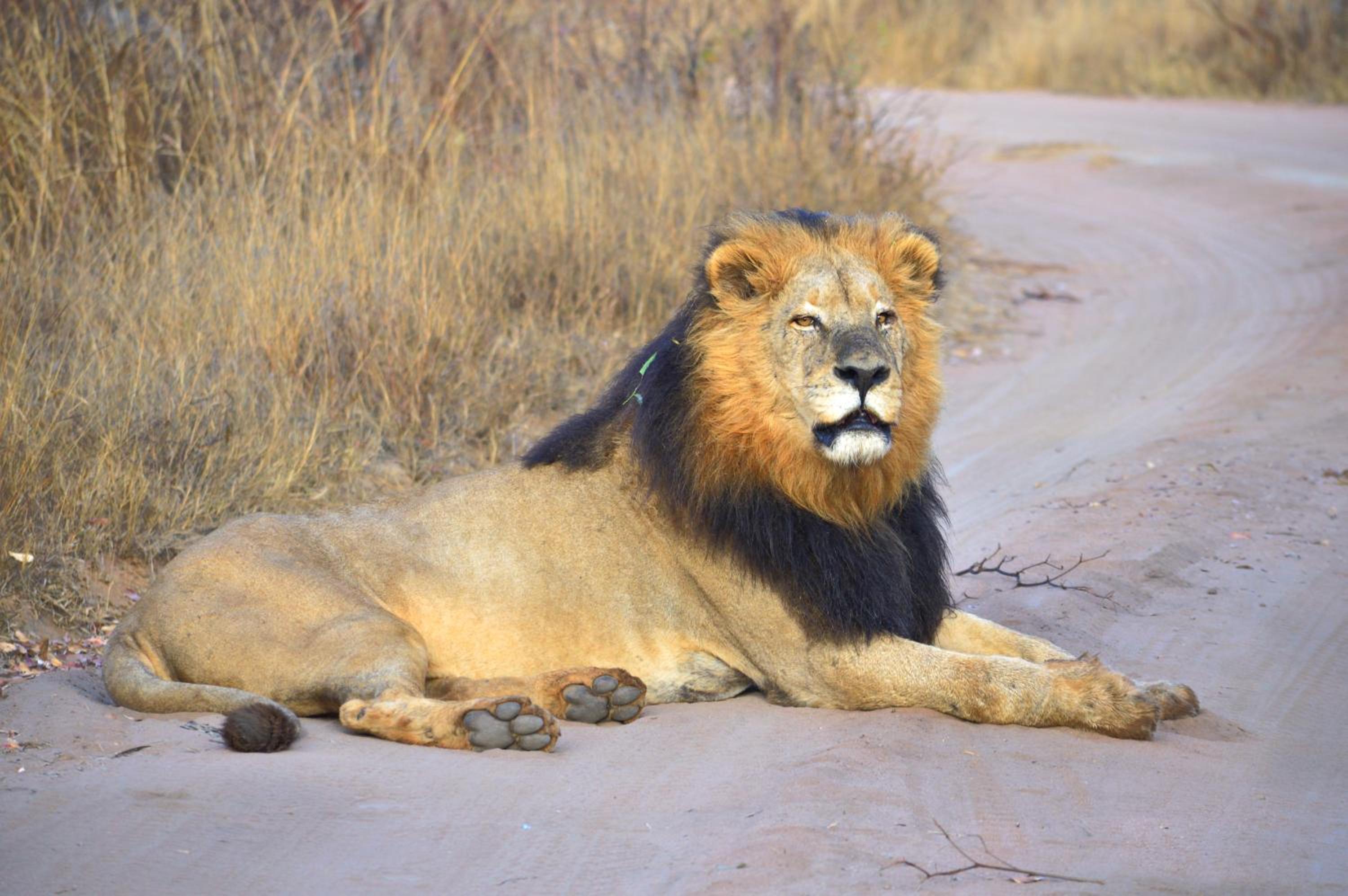 57 Waterberg