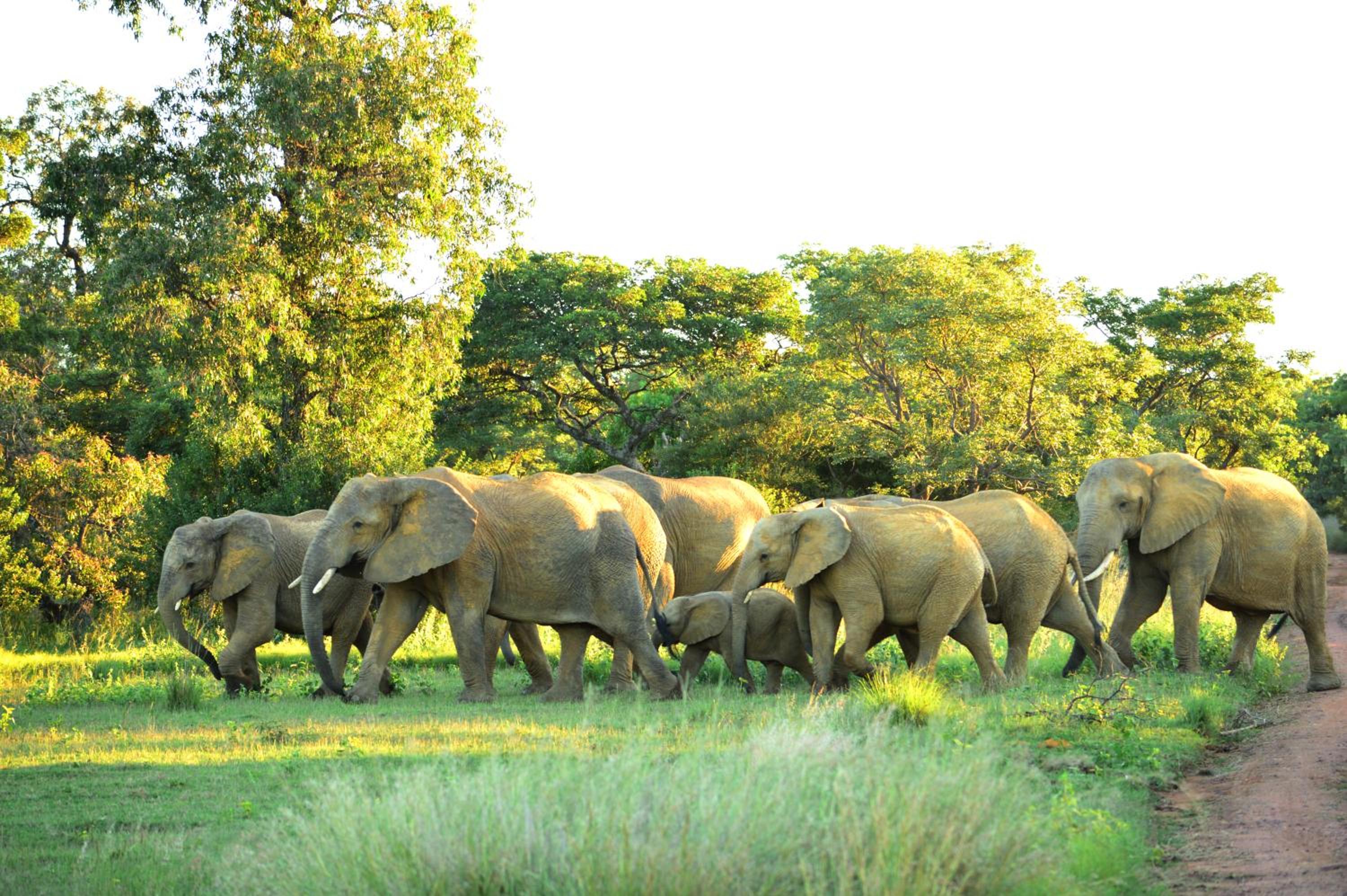 57 Waterberg