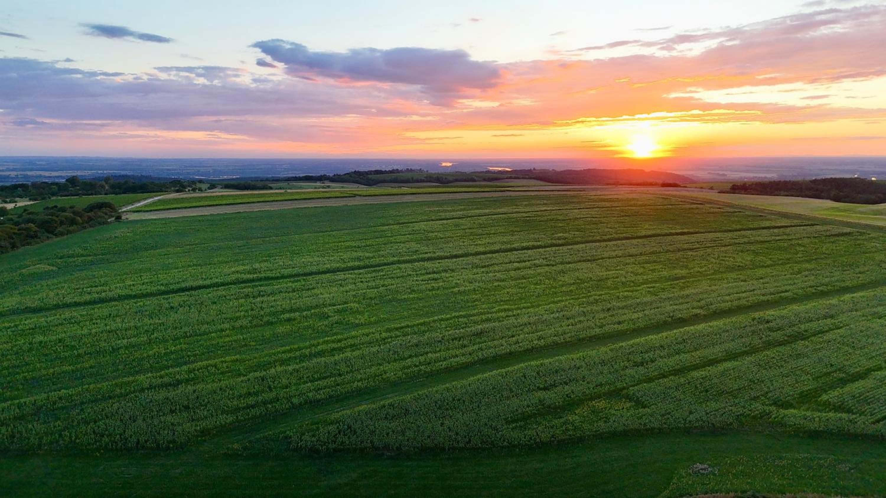 Sunrise Apartman Dunaszentmiklós