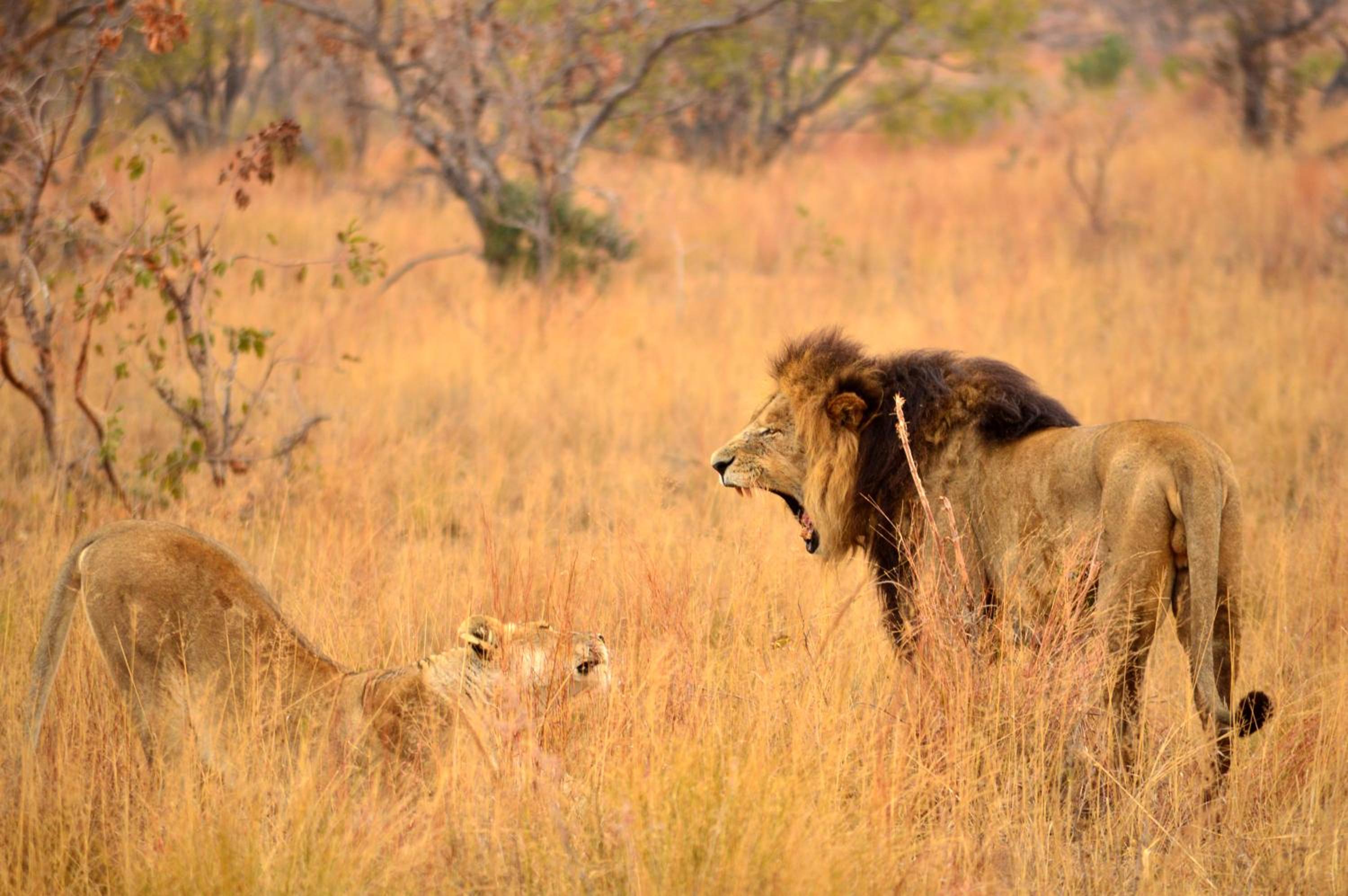 57 Waterberg