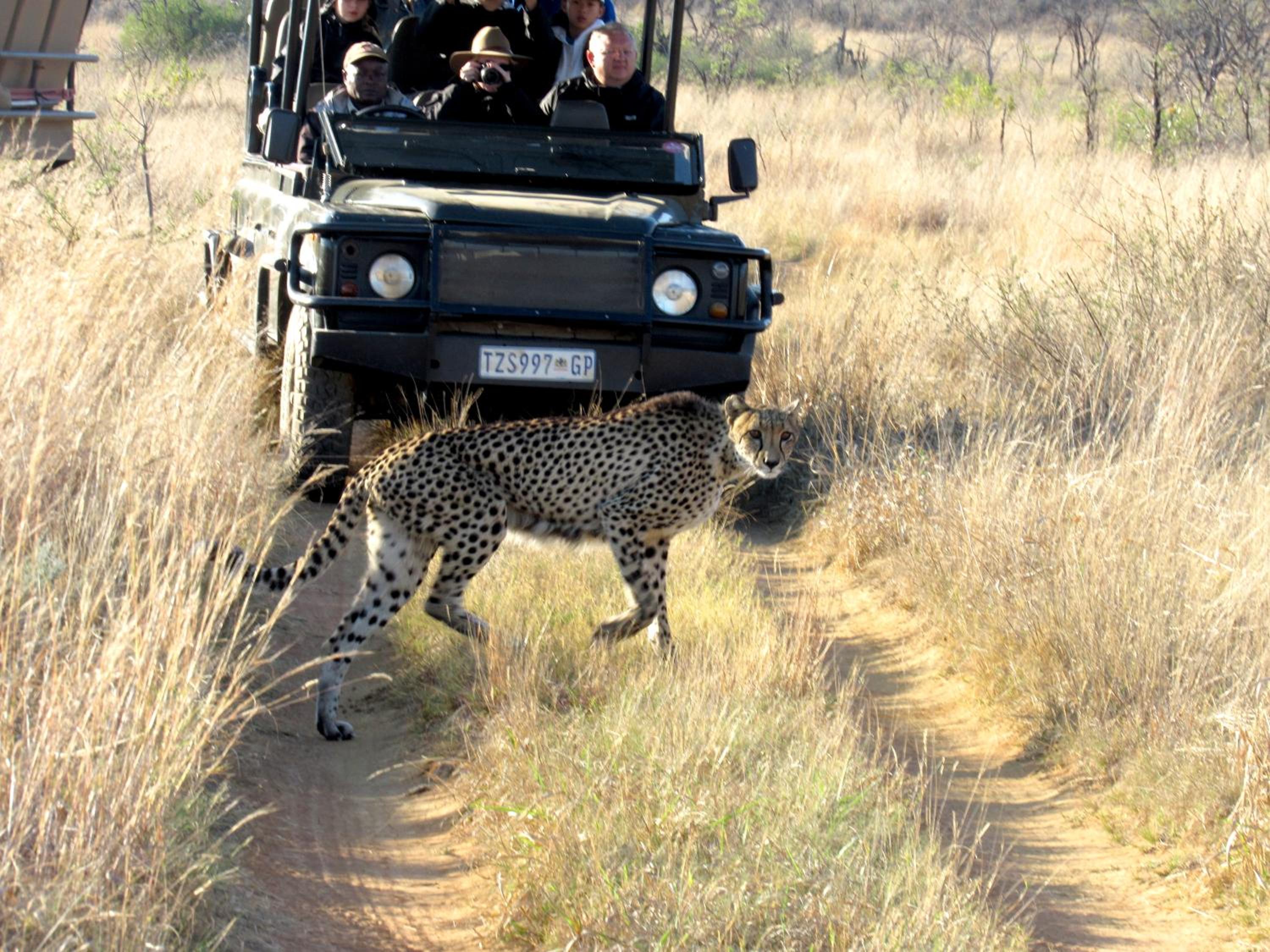 57 Waterberg