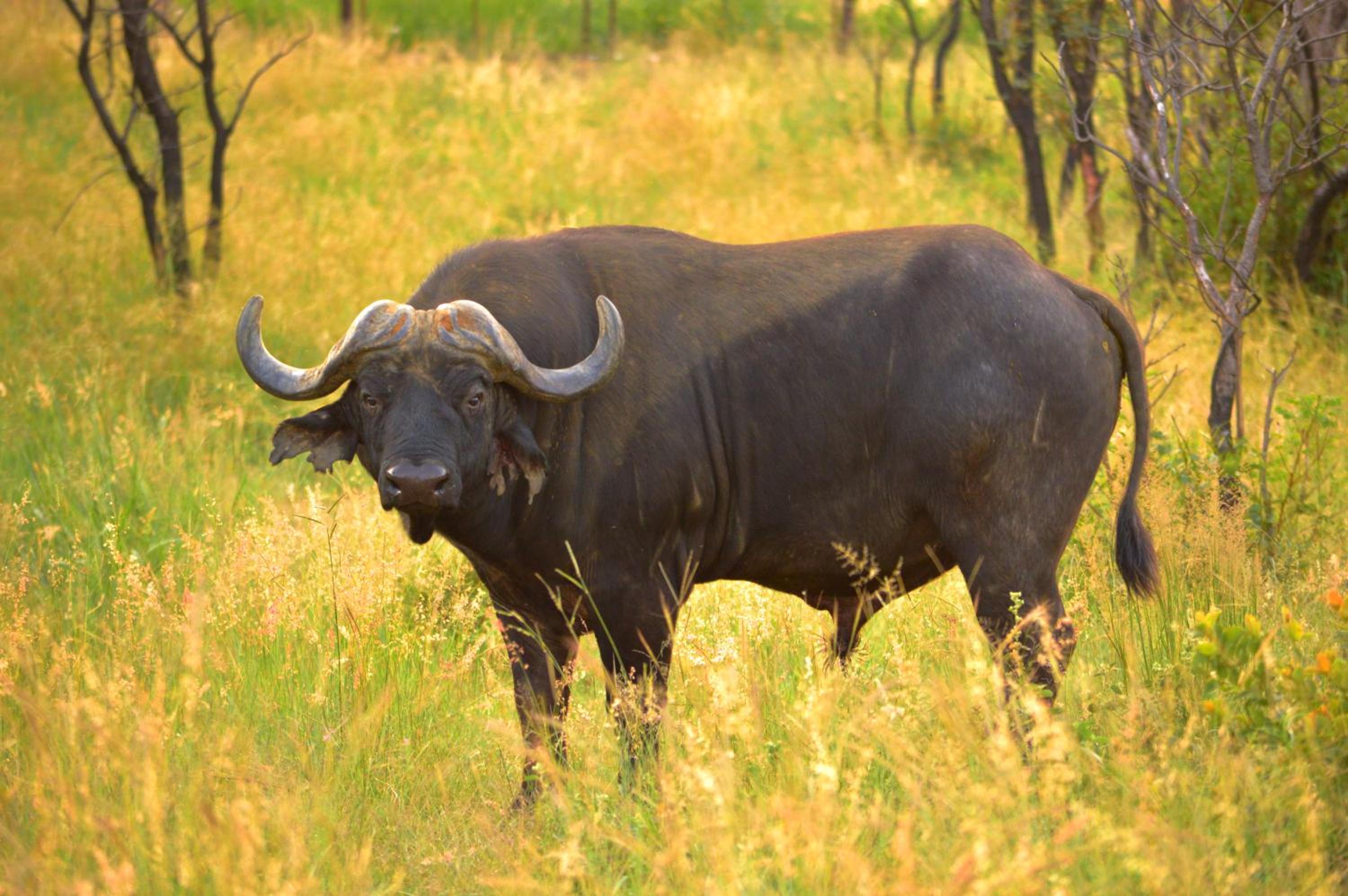 57 Waterberg