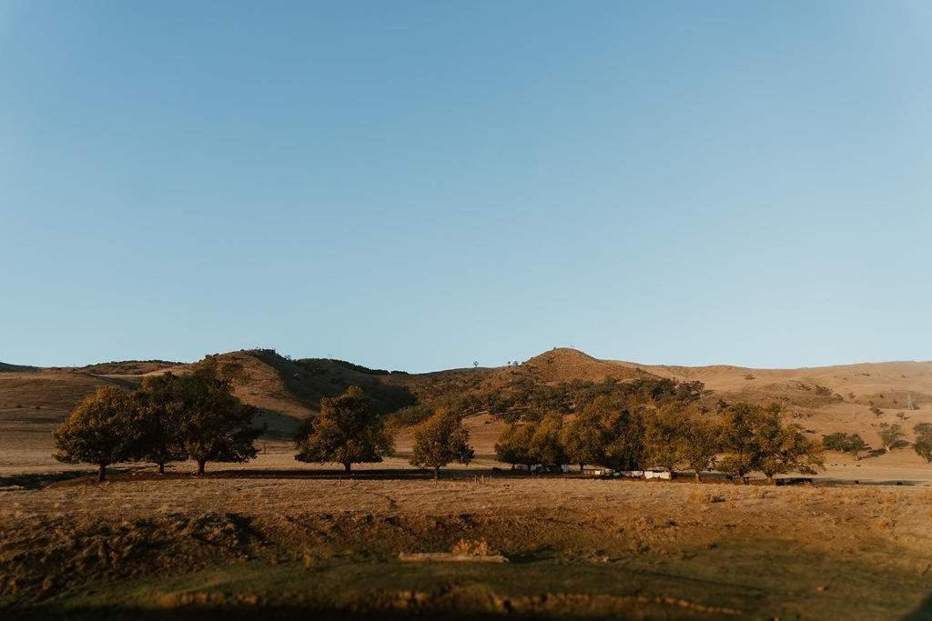 Brungle Creek Escape 1 by Tiny Away